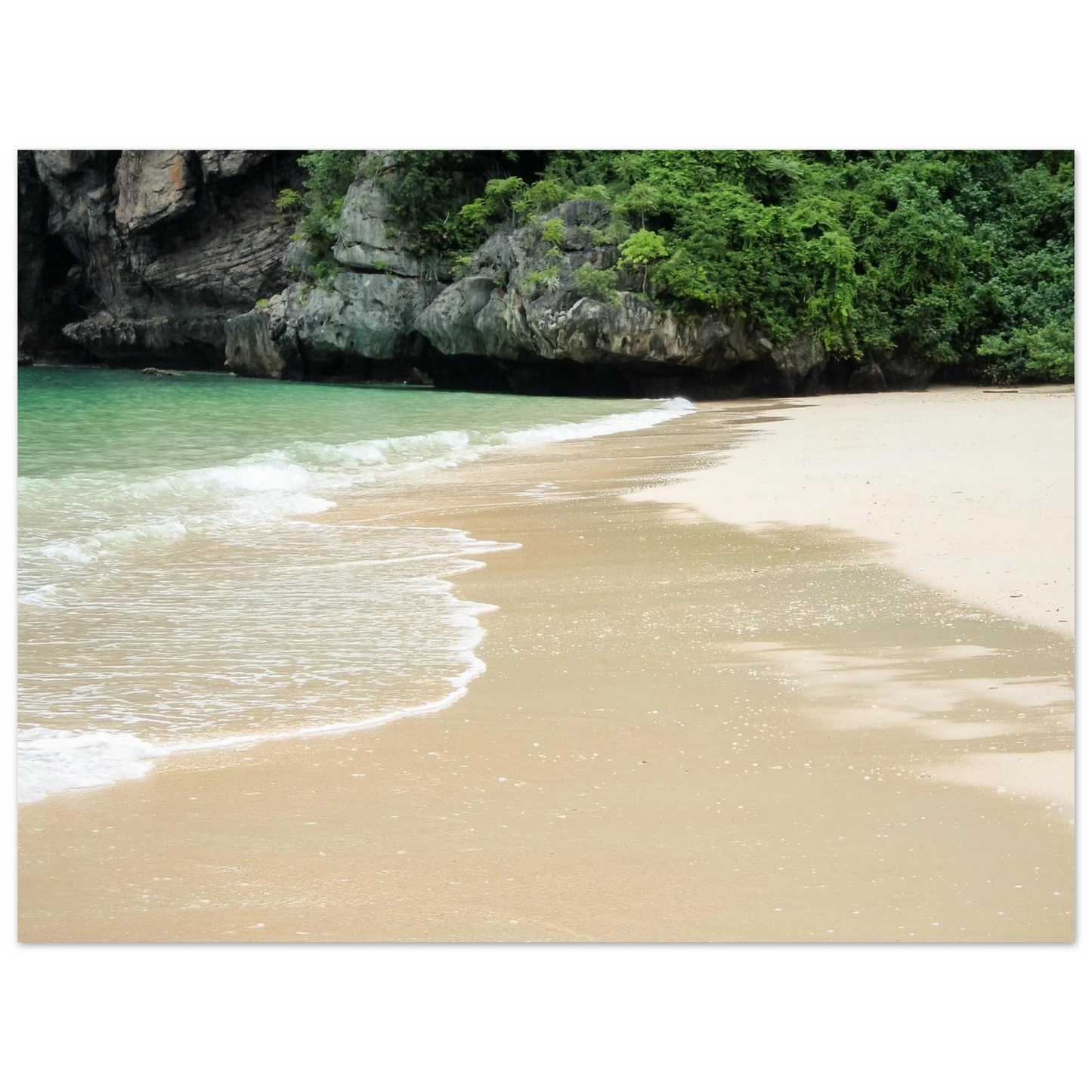 e58dda19-c8c7-4fb9-8463-2c577dfc0951