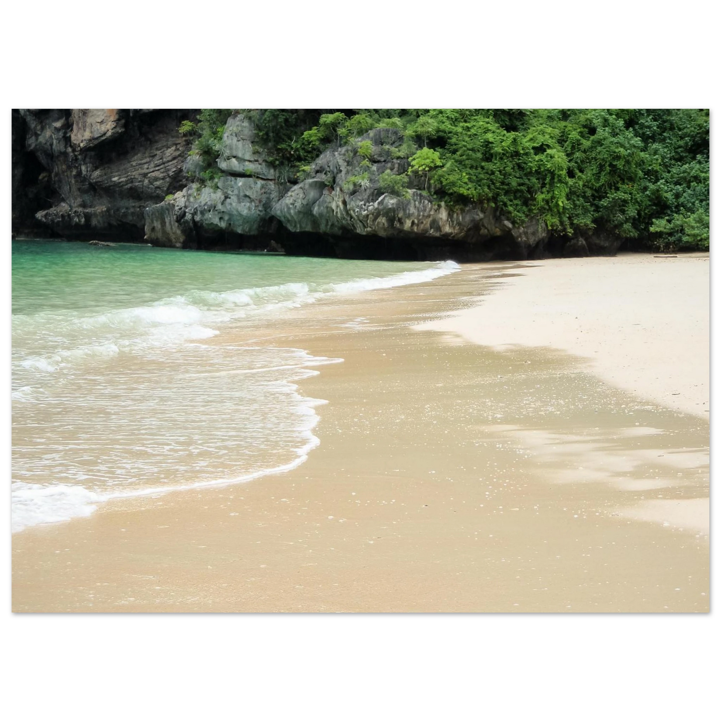 e82240e6-9c9f-4adc-8076-203cef02ccb6