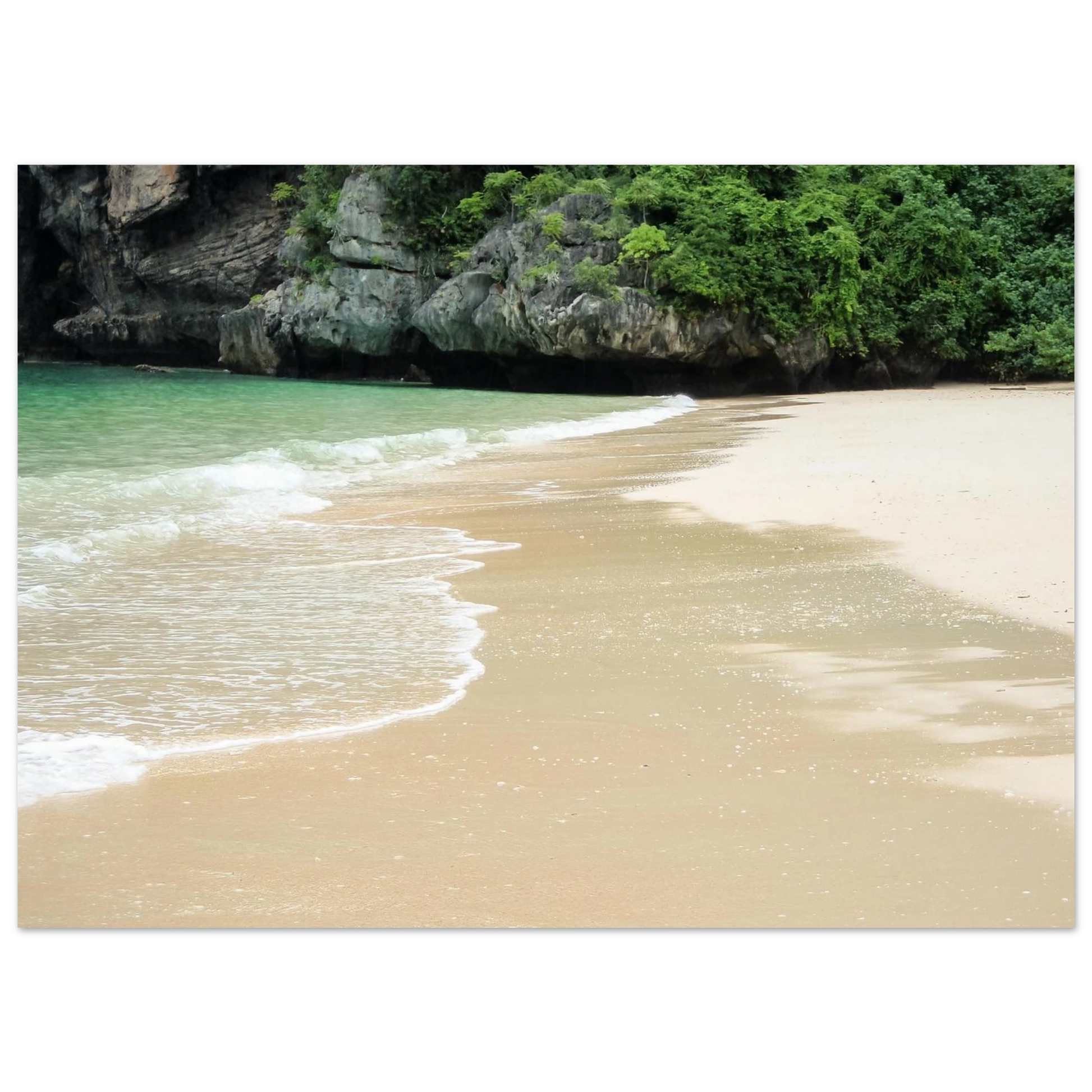 e82240e6-9c9f-4adc-8076-203cef02ccb6