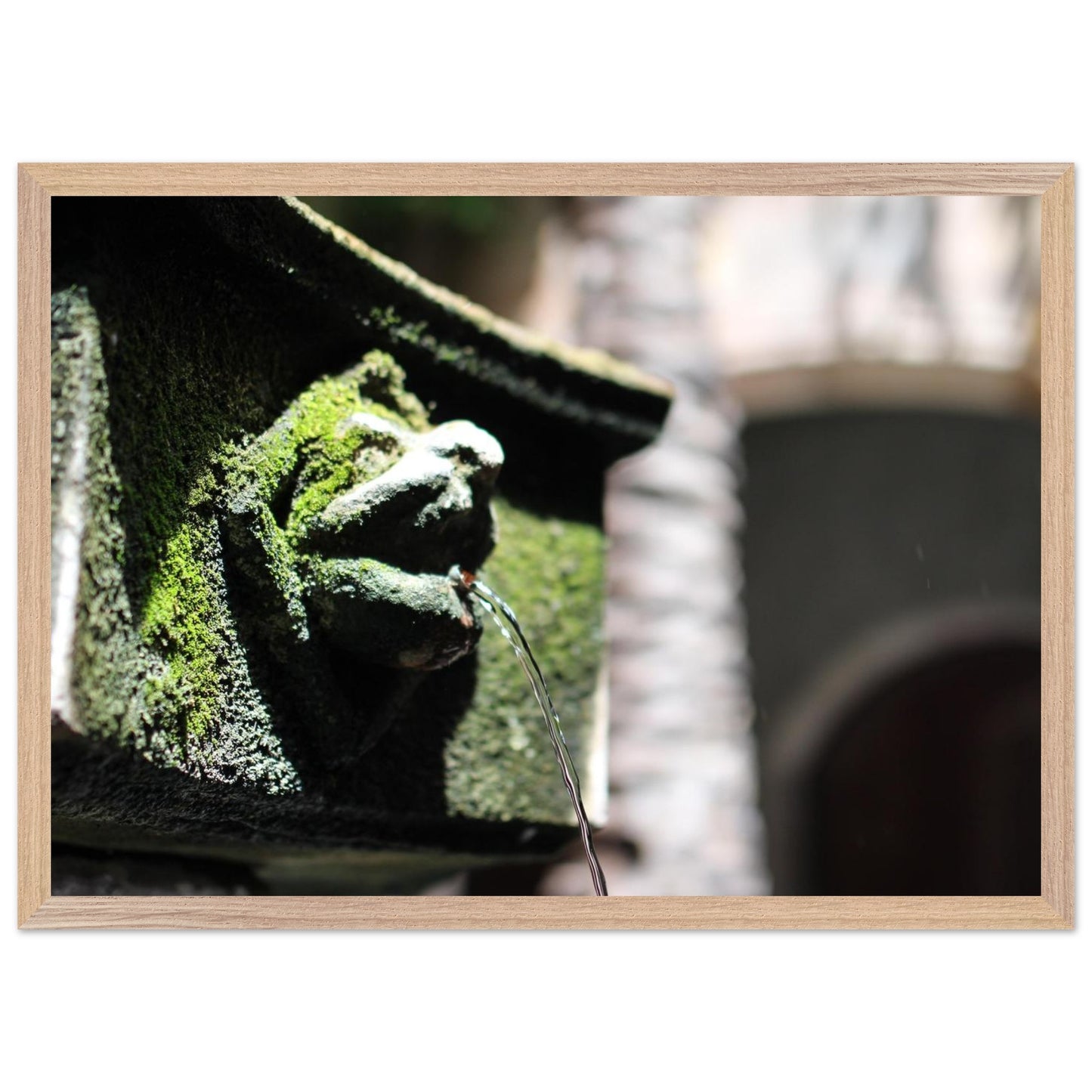 e8f209d3-e9a9-4445-a5dd-382ef8a61aa2