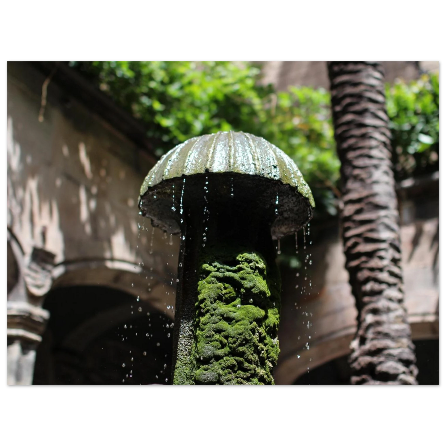 f316daf3-c752-49b5-8aa1-f799a30276e6