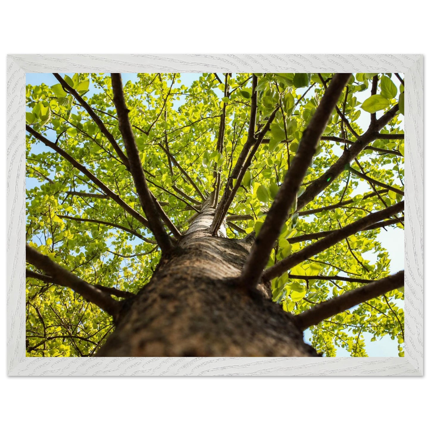 f668a133-61ff-4dd1-b7de-48b7e975127d