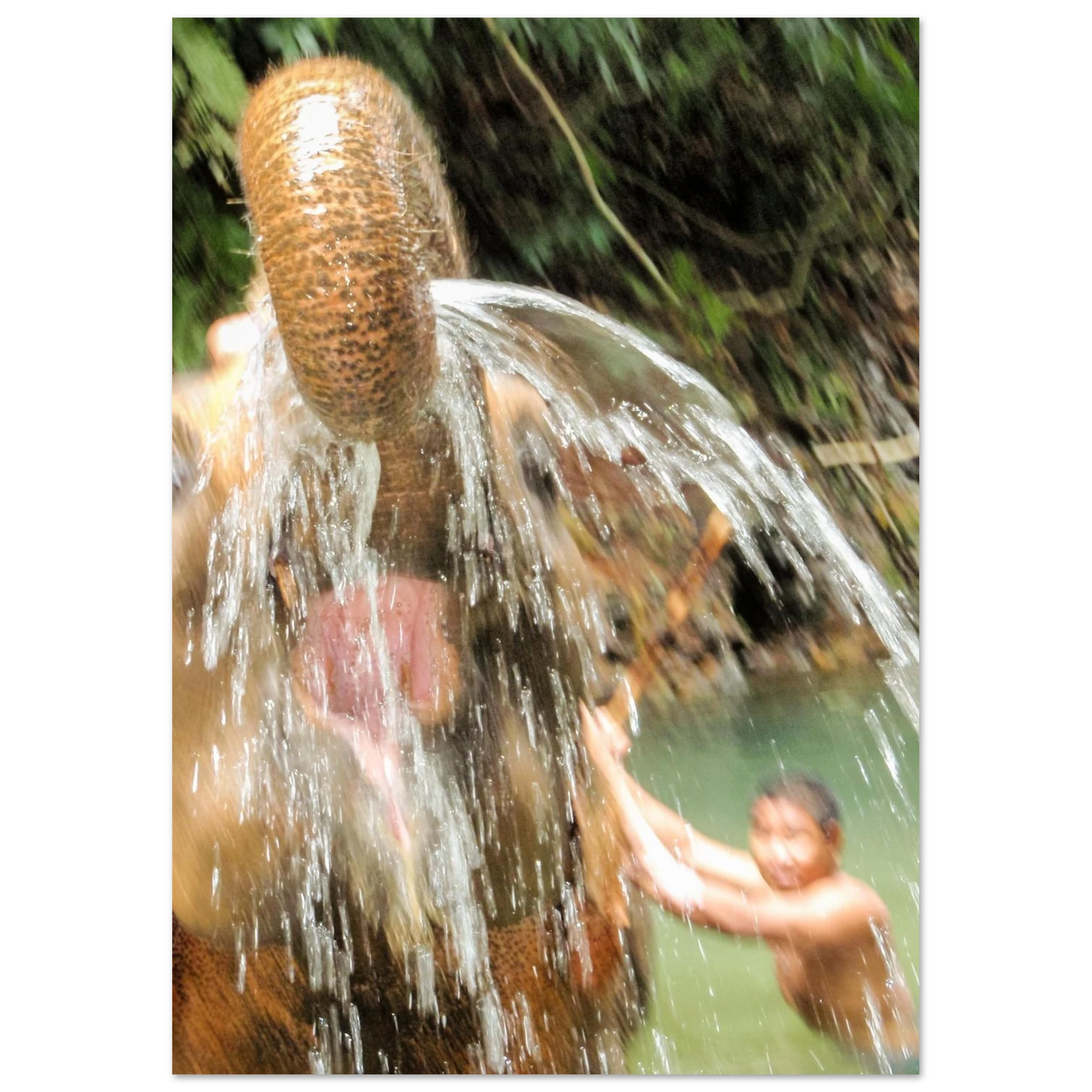 f8b51685-2704-49d6-9ccf-ca3bf33984a6