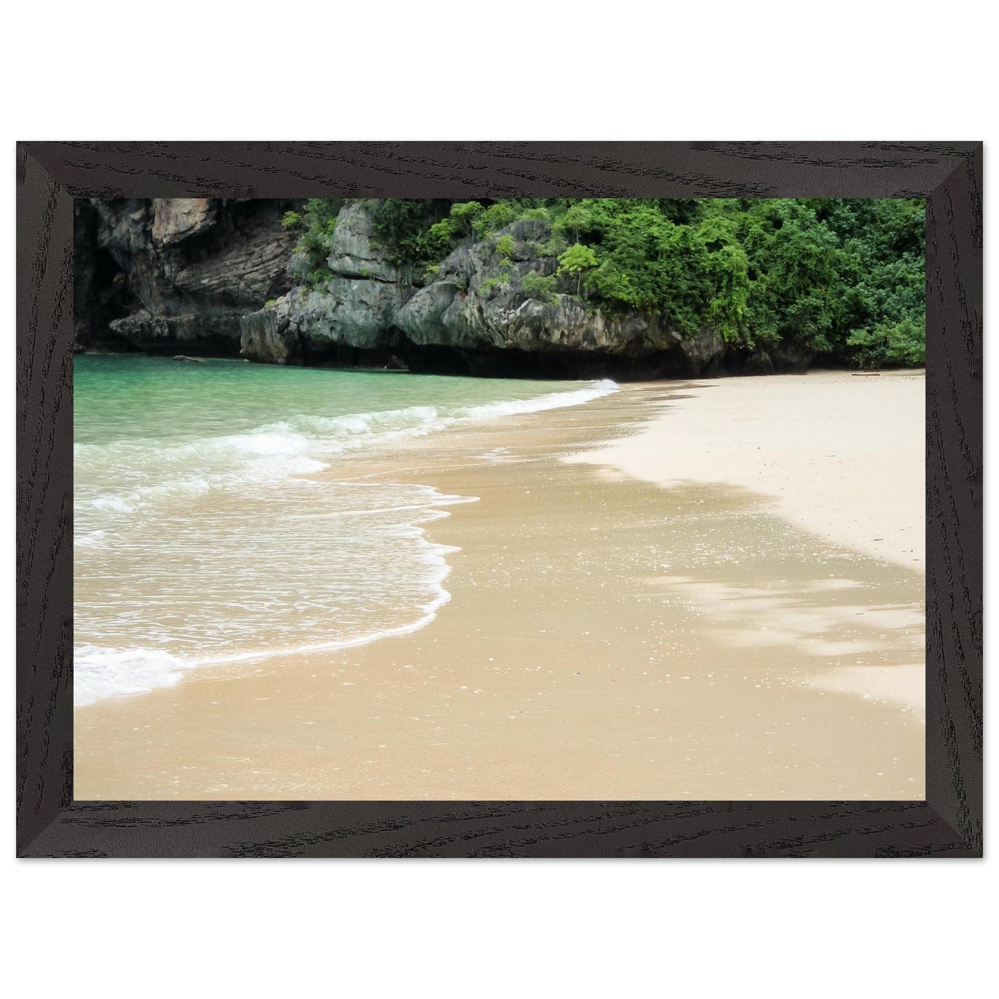 feeda5a4-0696-49e6-b9a9-e60b1703739c