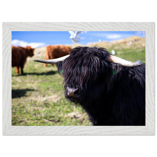 ff0b2528-39c7-4816-a2c8-ee56c1b7d2a4