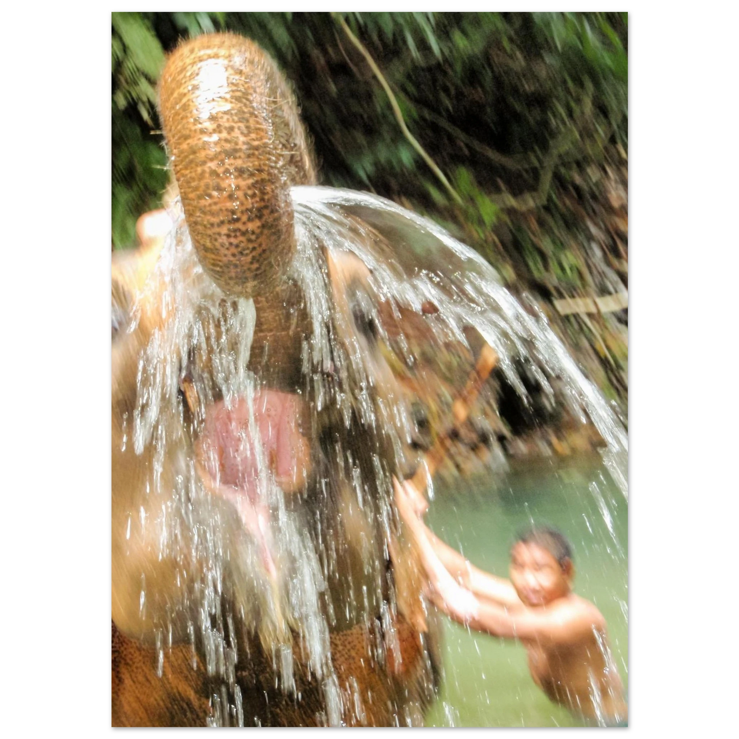 00224dd0-503f-4179-a331-3b47c5dc0051