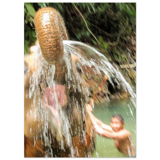 00224dd0-503f-4179-a331-3b47c5dc0051