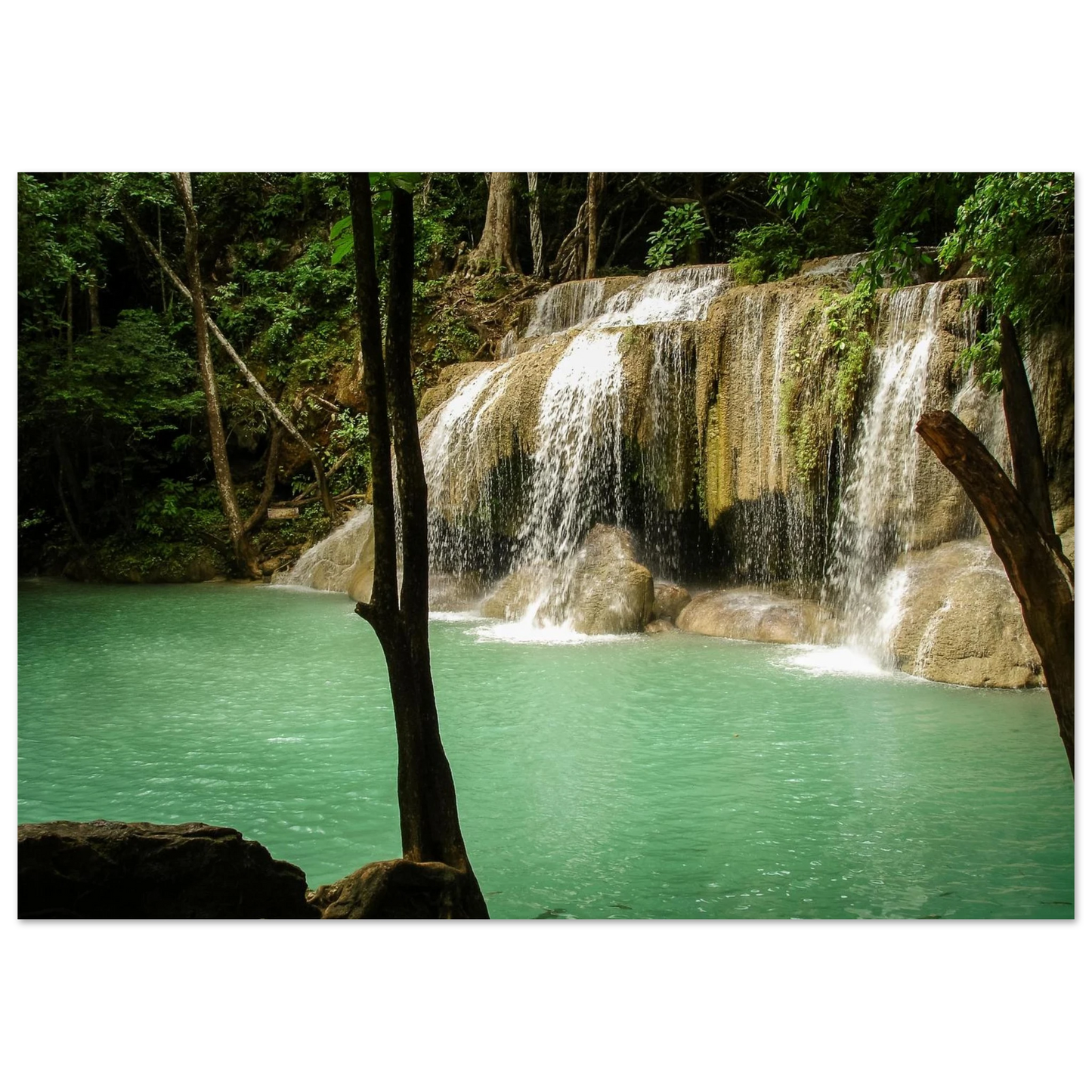 025de9a1-9f1a-4632-a781-a4c6ff638121