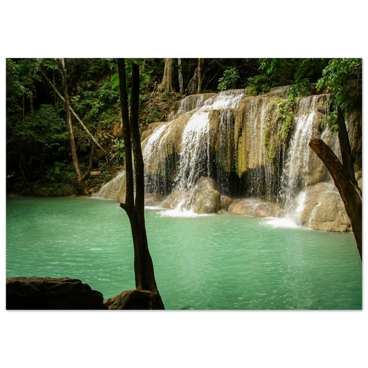 025de9a1-9f1a-4632-a781-a4c6ff638121