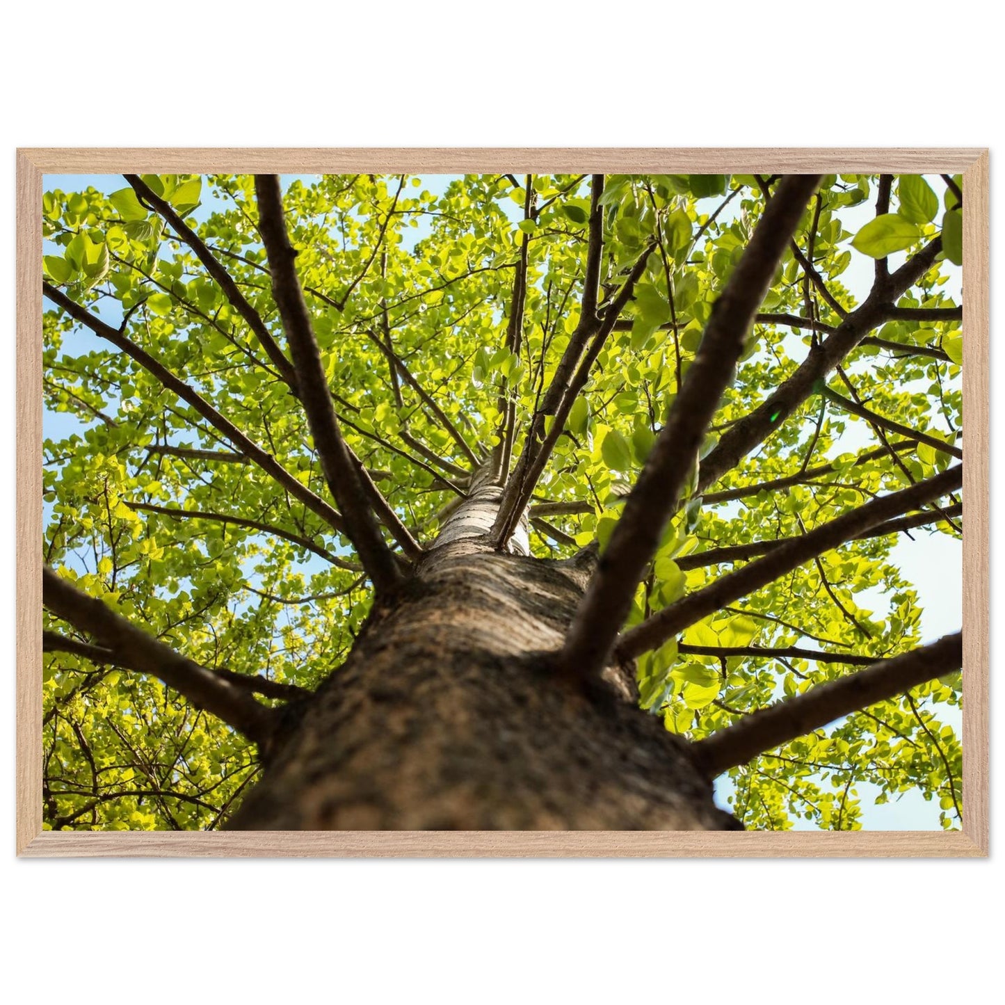 02635d5c-25dc-41e6-a23c-b1b7d82c82d4