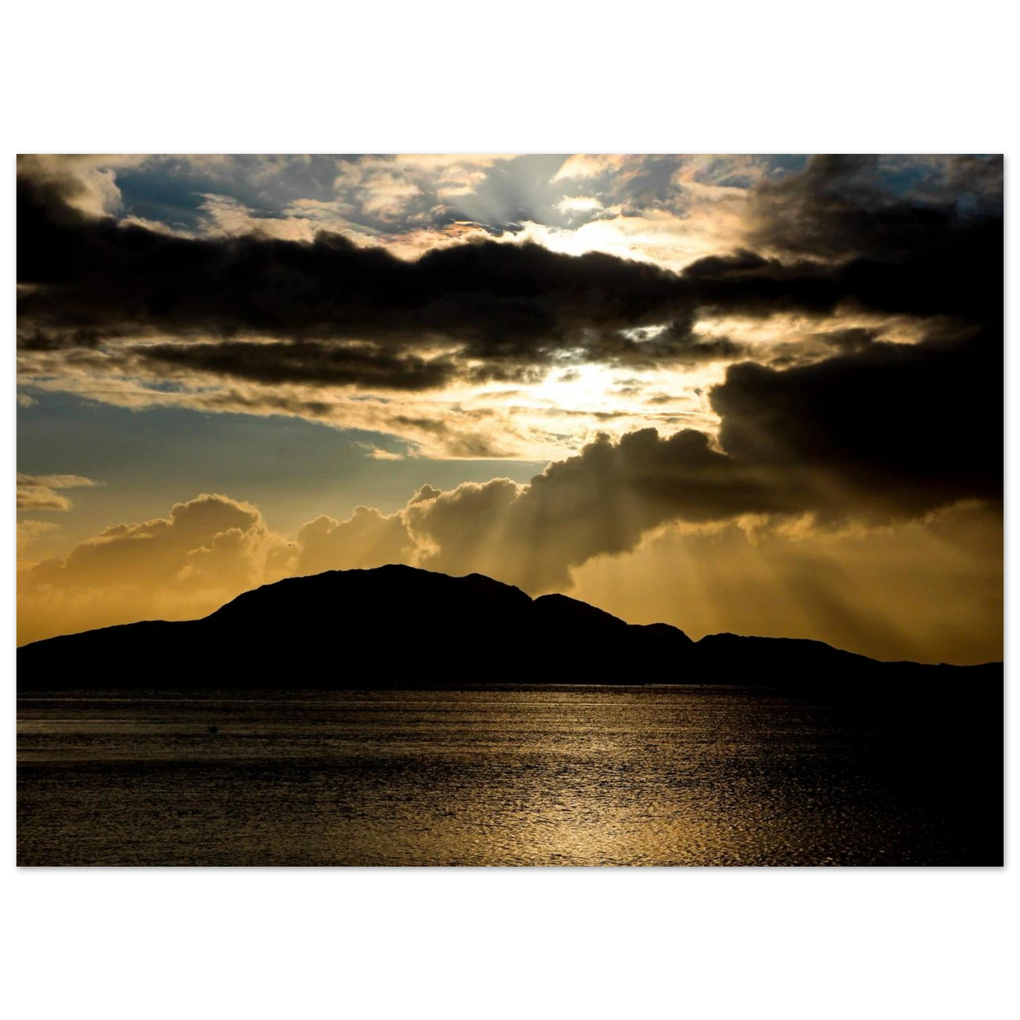 0432eaa0-6241-4a19-8d16-e43b1ee6323d