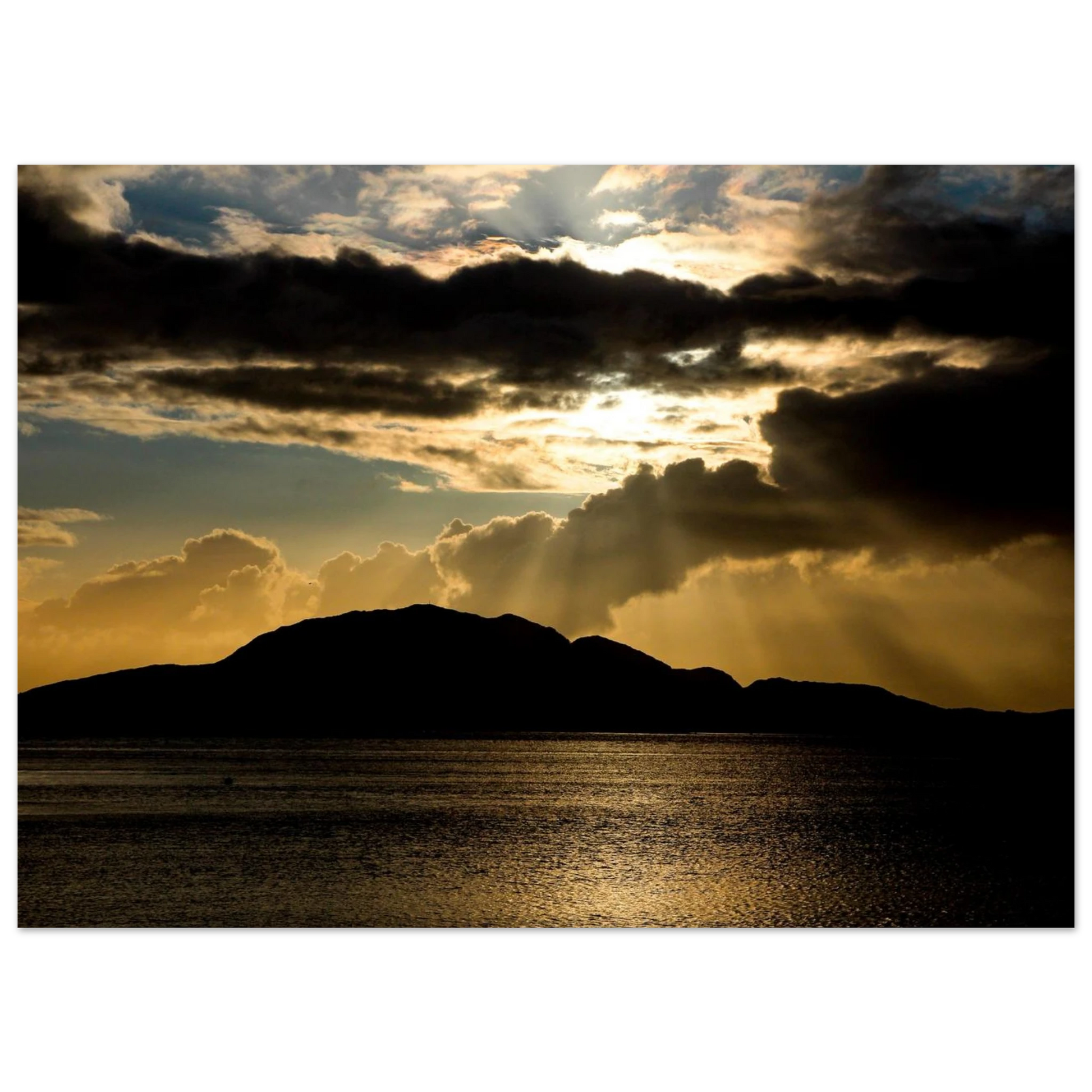 0432eaa0-6241-4a19-8d16-e43b1ee6323d