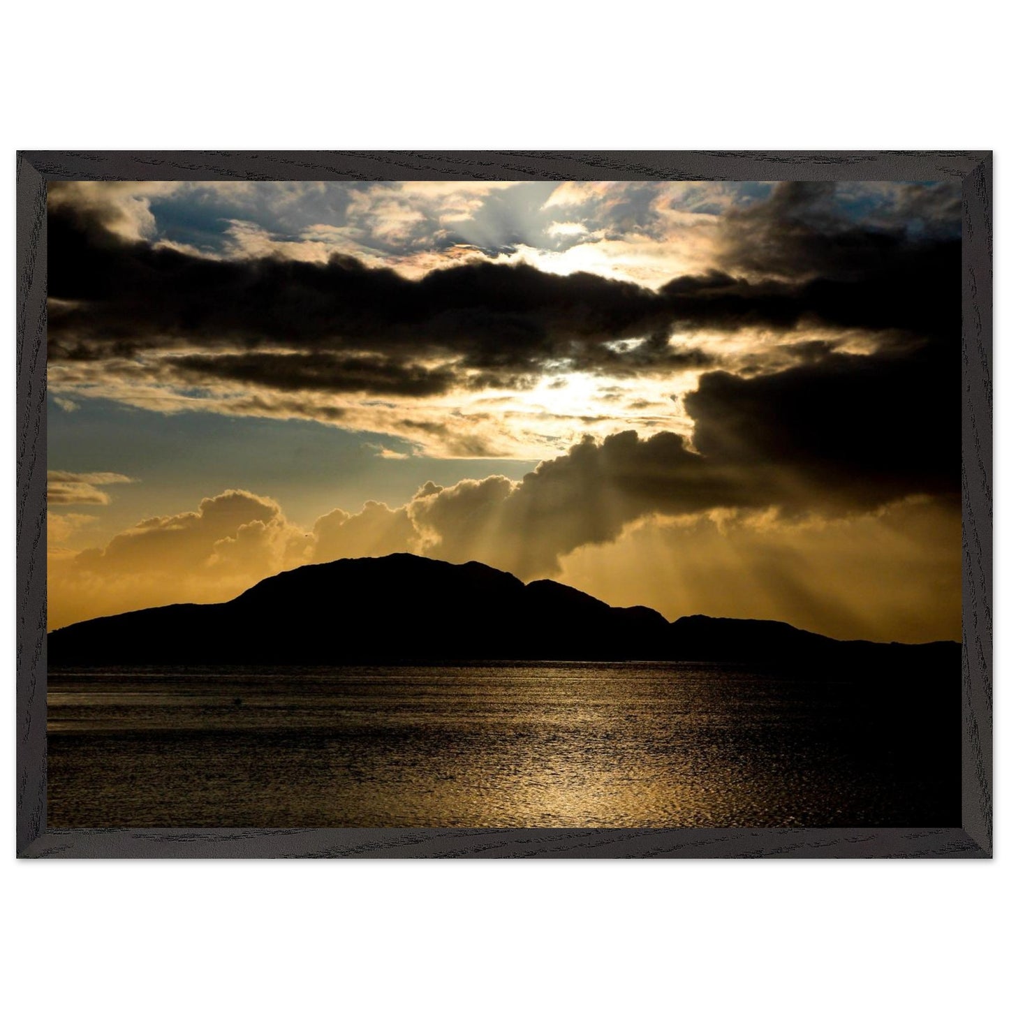 0796bbfa-a5f2-4f76-bfac-44e7e534d70e