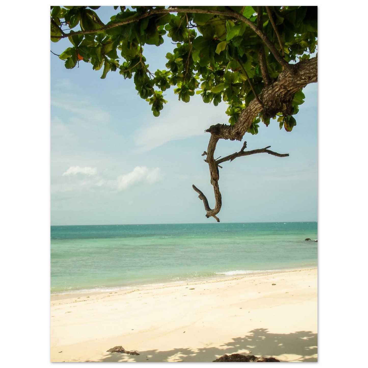 0aa7c78c-5662-4b8d-a2a1-f36c196fbd53