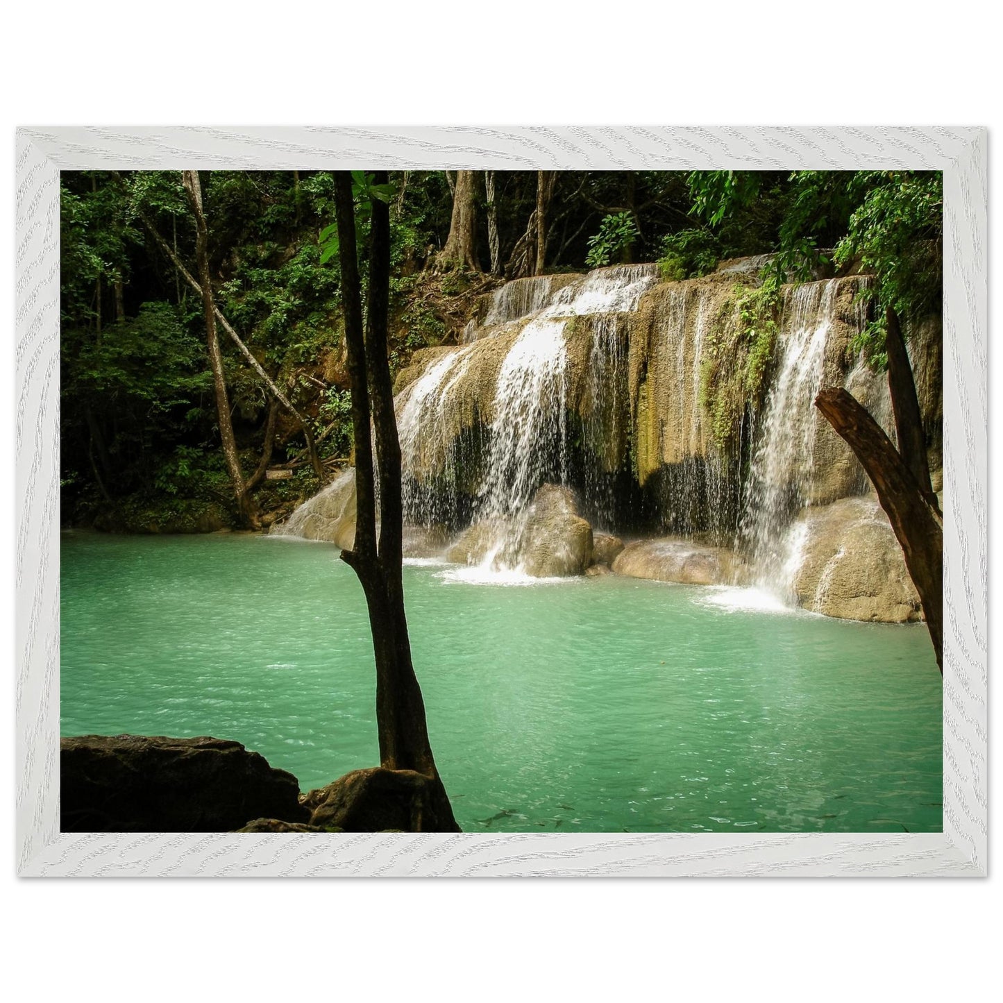 0c48a4b1-5863-44a2-9887-a5195e47af07