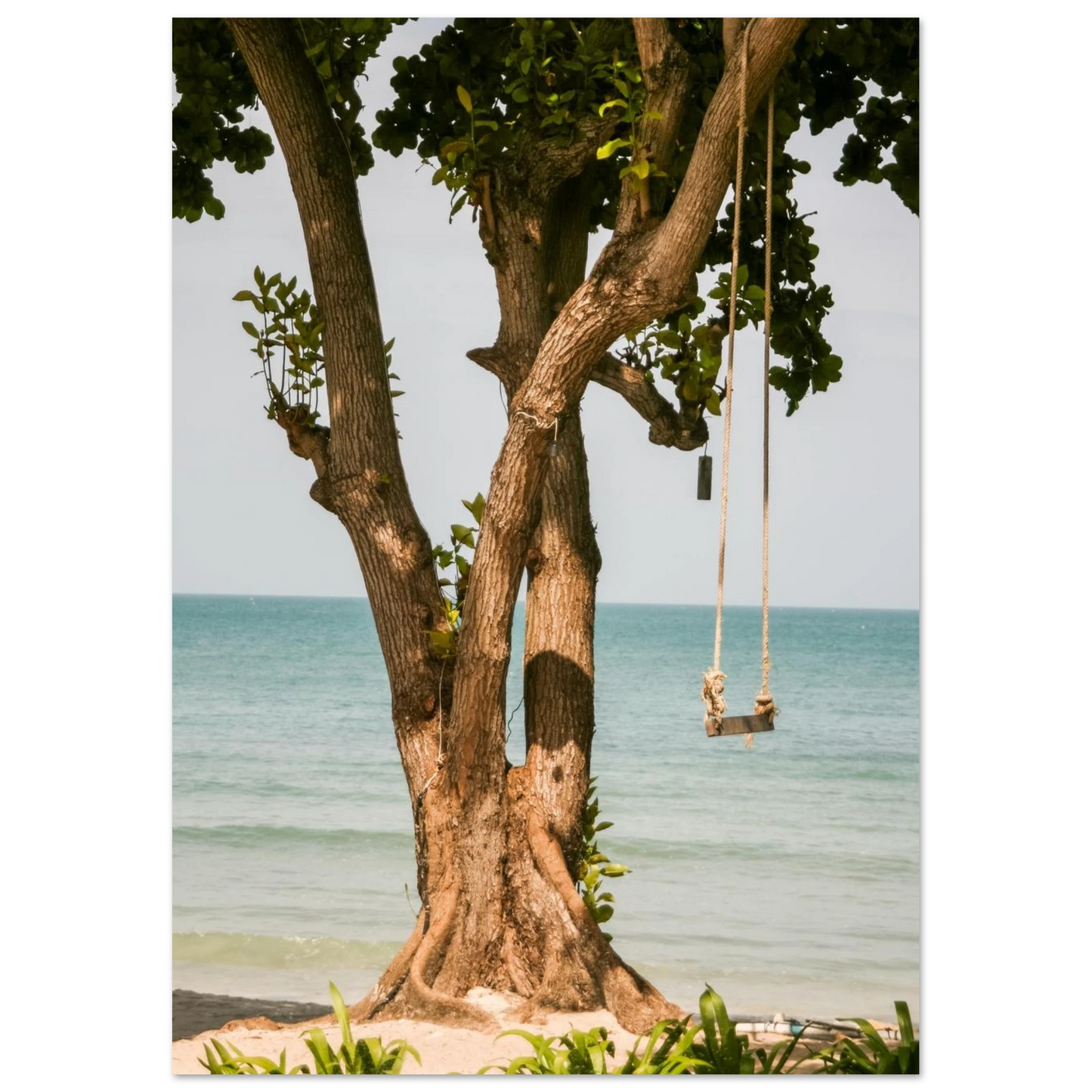 0c58b662-609d-48fd-8338-614375417b76