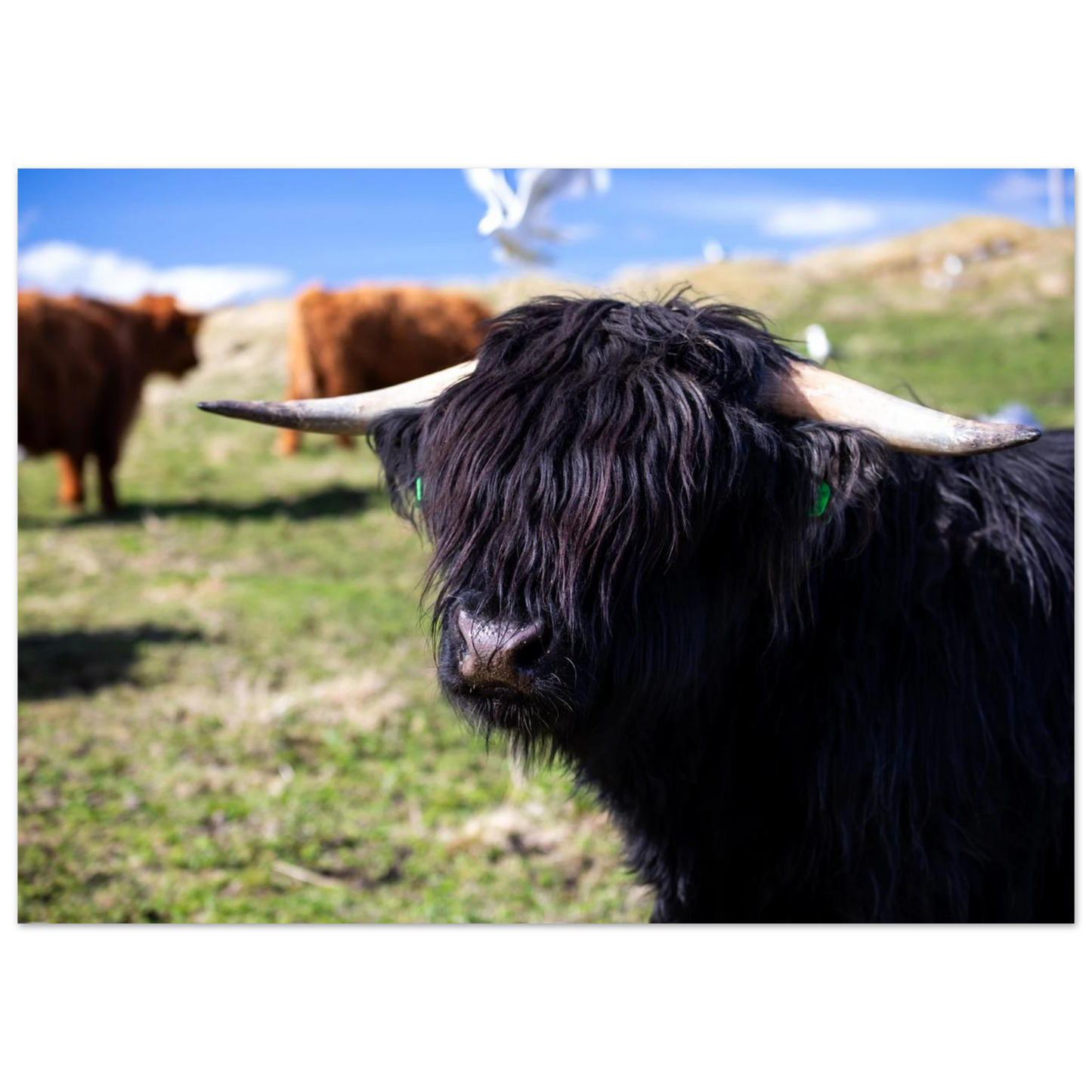 0e8736e3-660e-4cc3-87e8-fd8afa92c3ee