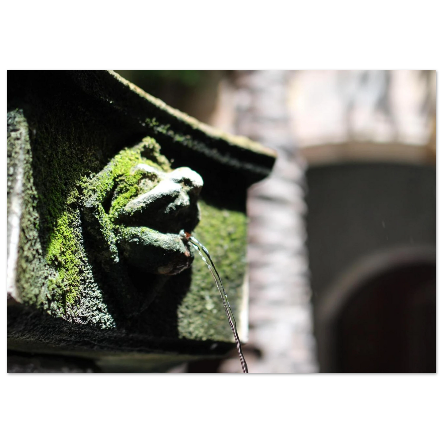 0f0ea0d9-5e0a-429d-a2d1-8de34d34d34b