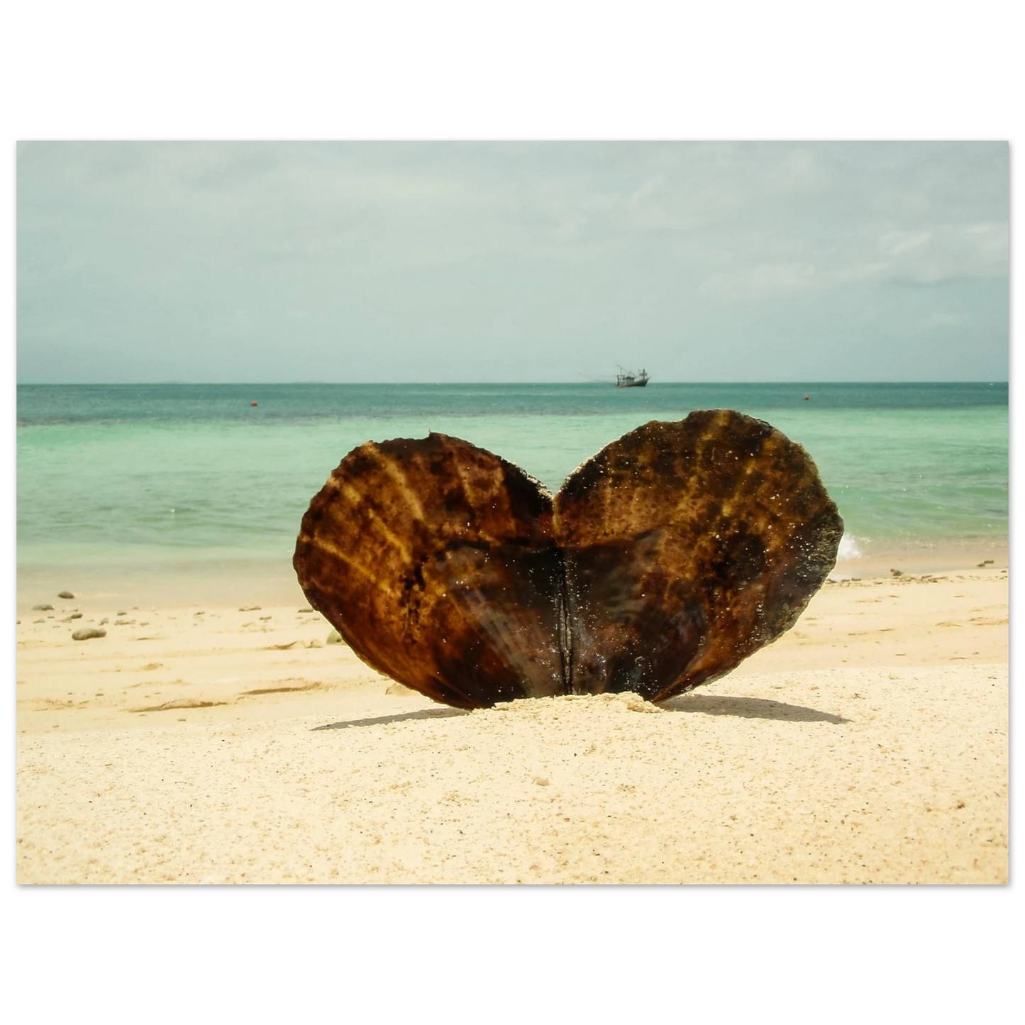 0f6df291-44c8-46b2-bc66-7073ae4776c4