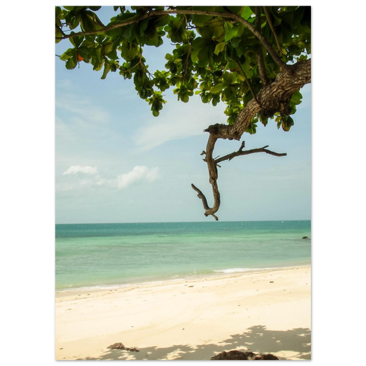 0f82e258-0f2f-4656-9c10-cb8b0b30b97f