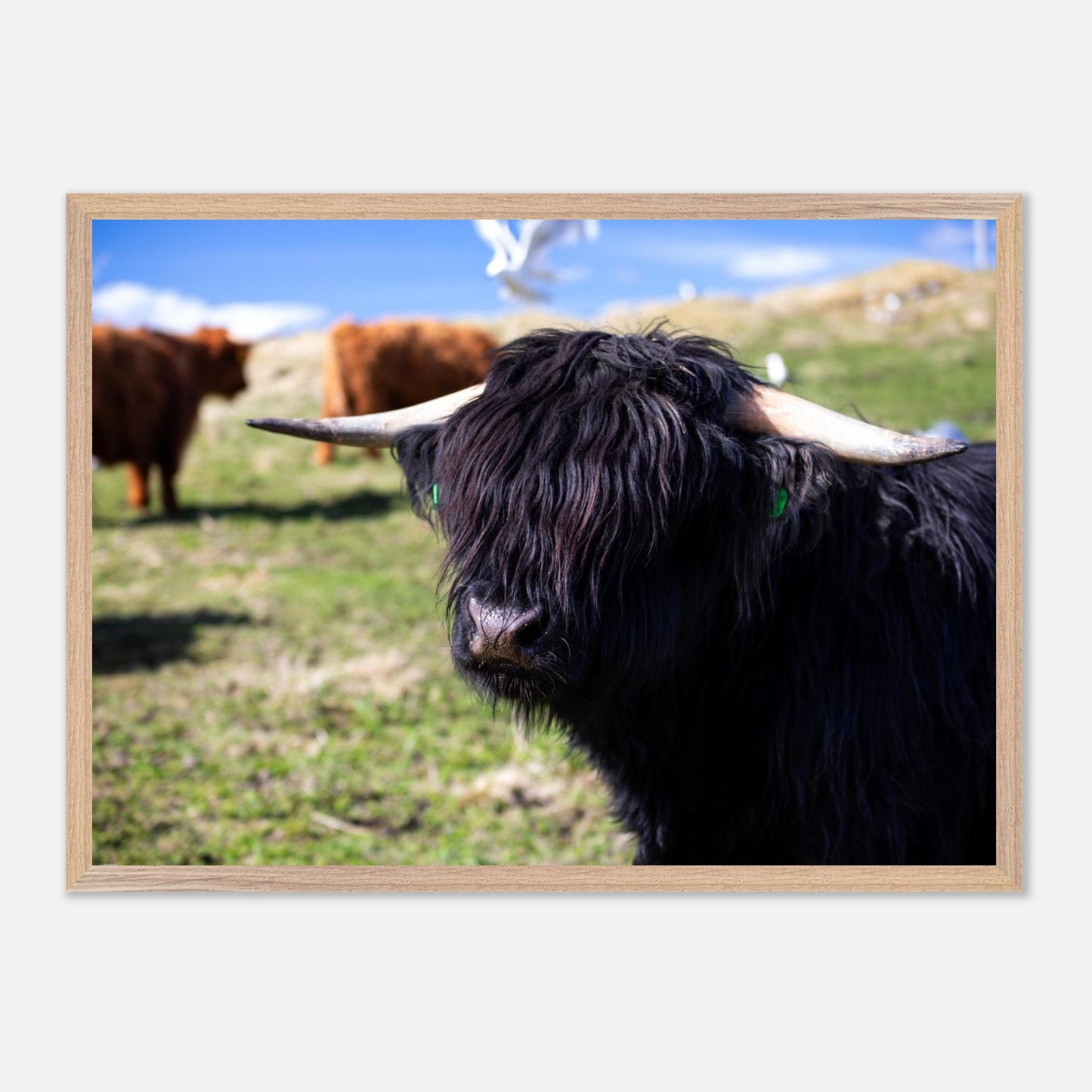 0f9db873-24f3-4dda-a5ab-65421a88c941