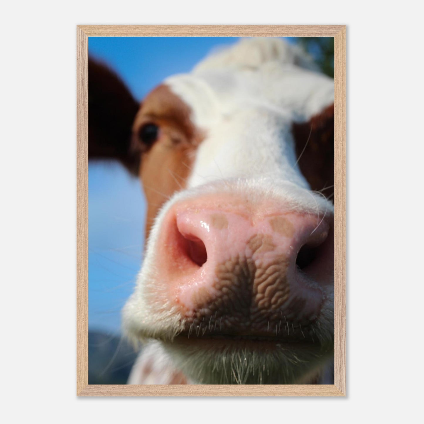 10ad4067-dee5-4712-b8d6-d41a0fa0a999