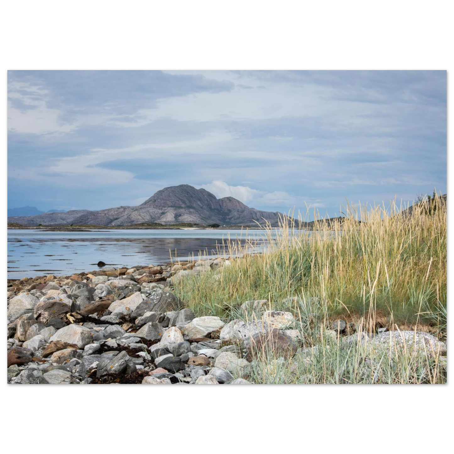 11a748da-b688-48b8-8c44-16931c4fa10c