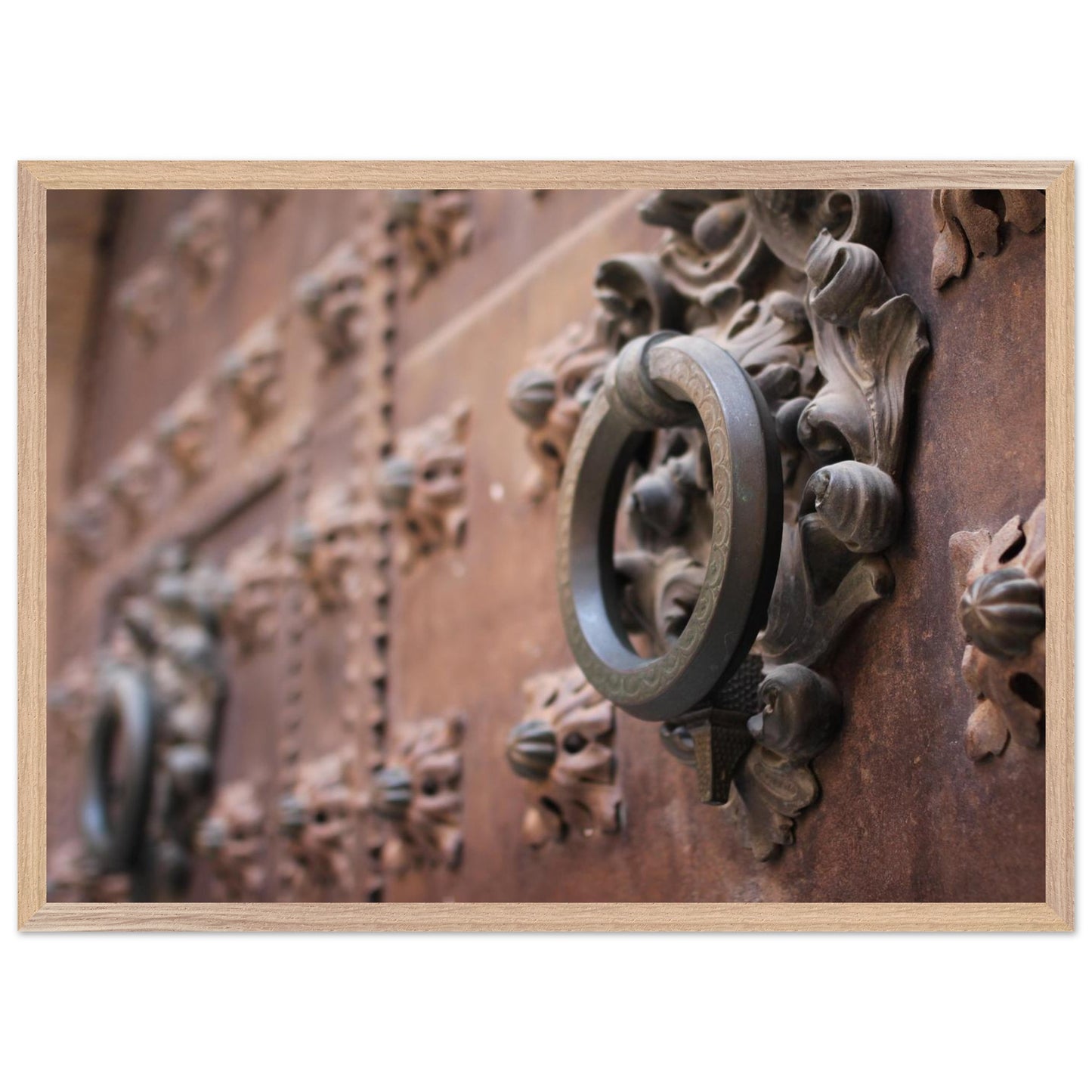 13ca069d-f187-4582-ab56-c108ba867249