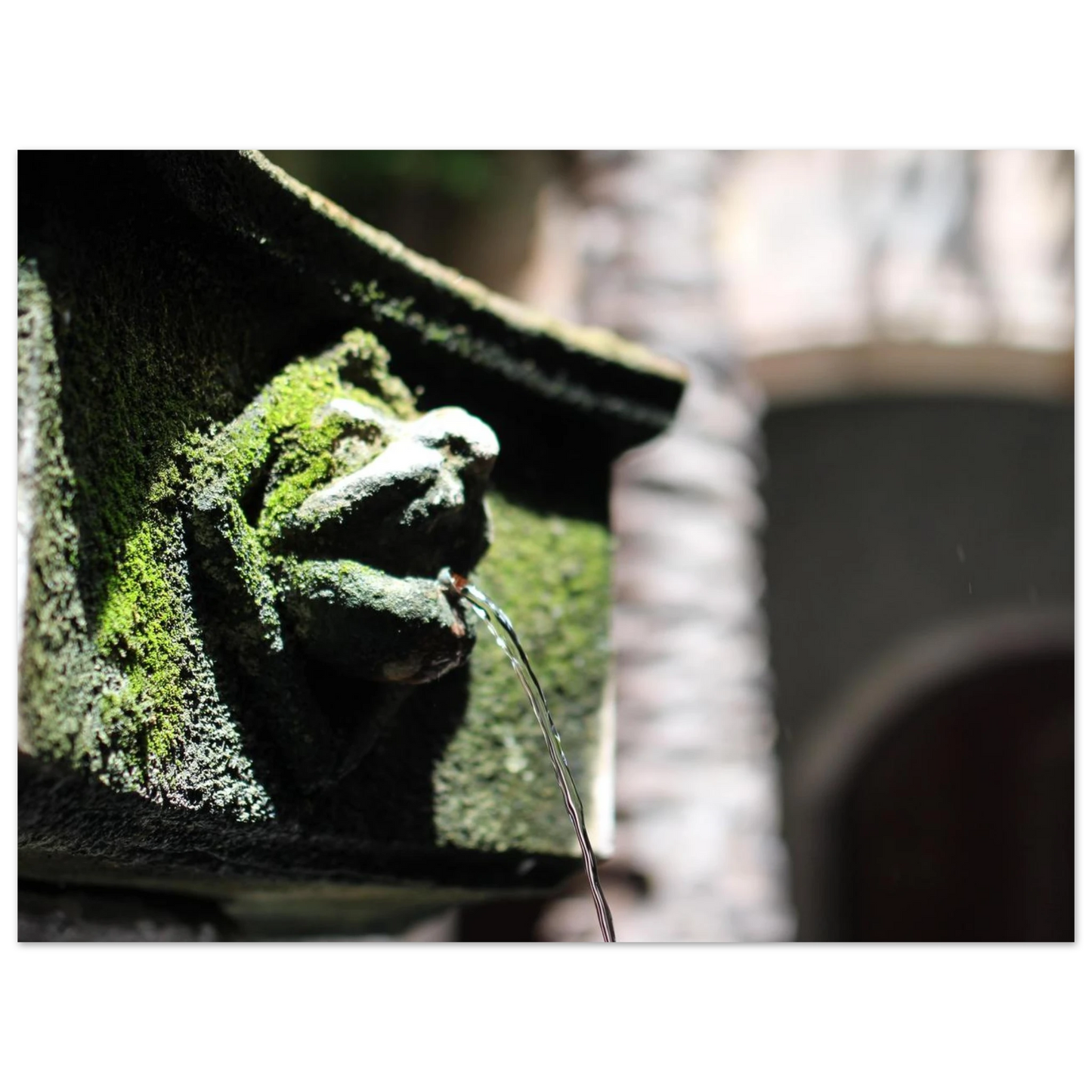 162f1c9e-b6d4-45a0-90dc-ee221ea6df10