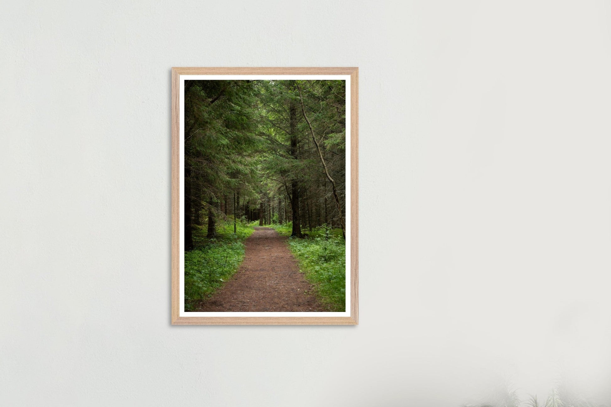 187630a4-7181-4029-891a-55fbc54732c7