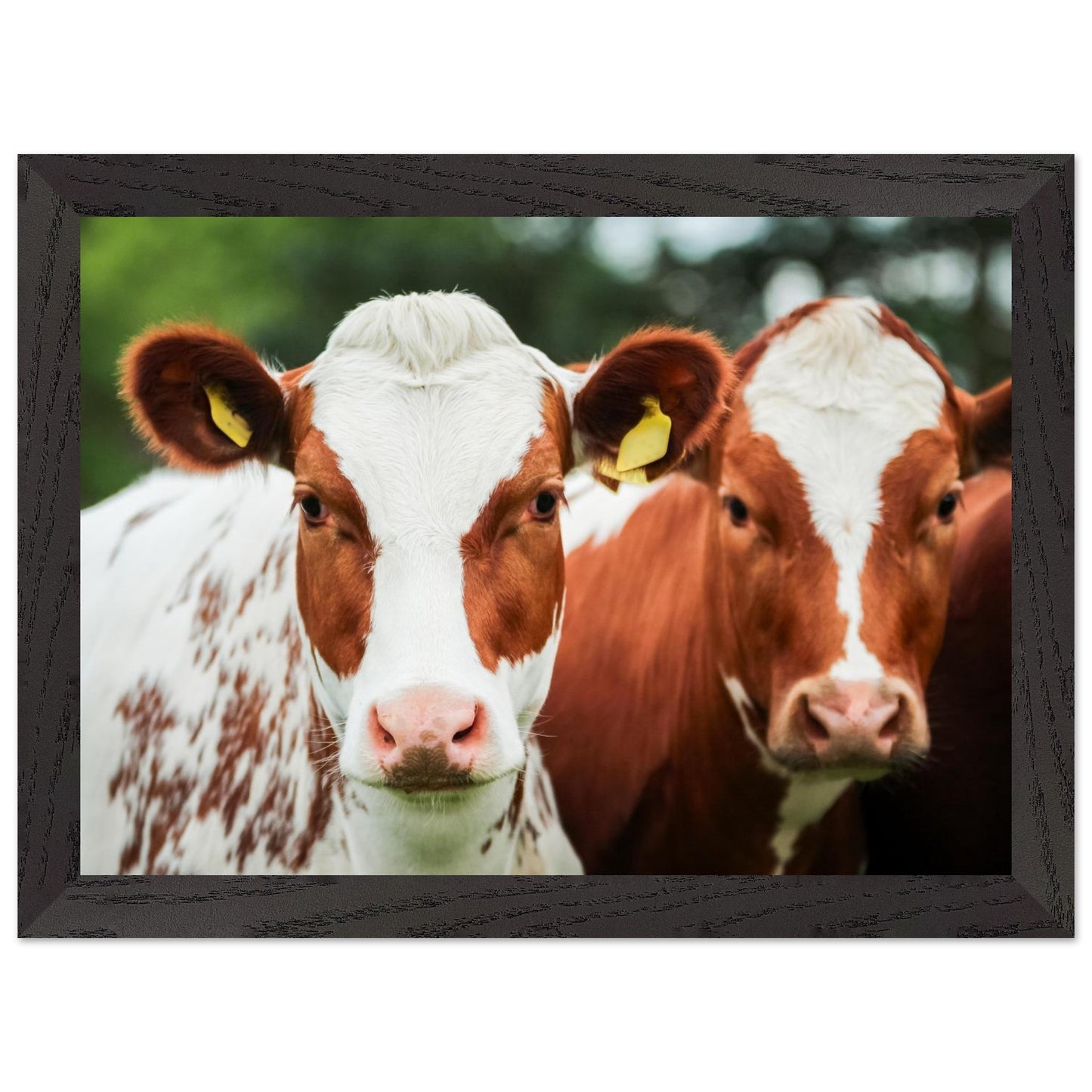 18c4afe3-127a-4179-be87-3acabbc72193