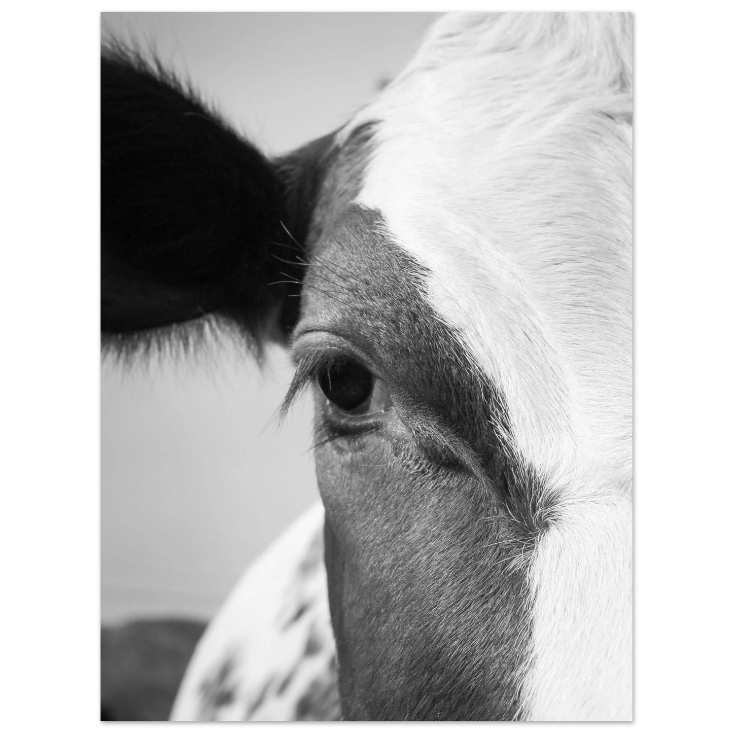 18c7de1c-6781-4bc5-9514-7325dc450146