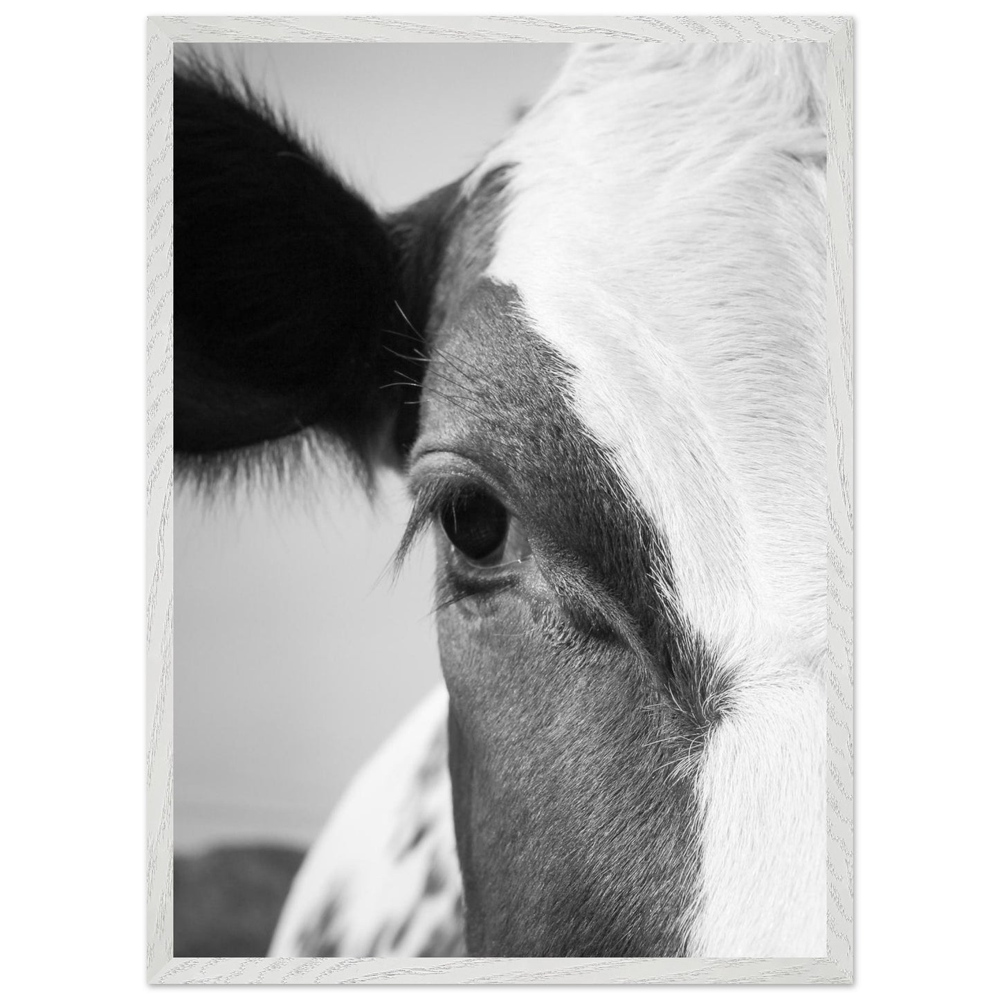 18e80081-c1a9-42e7-b02c-dd2bfcf03cc5