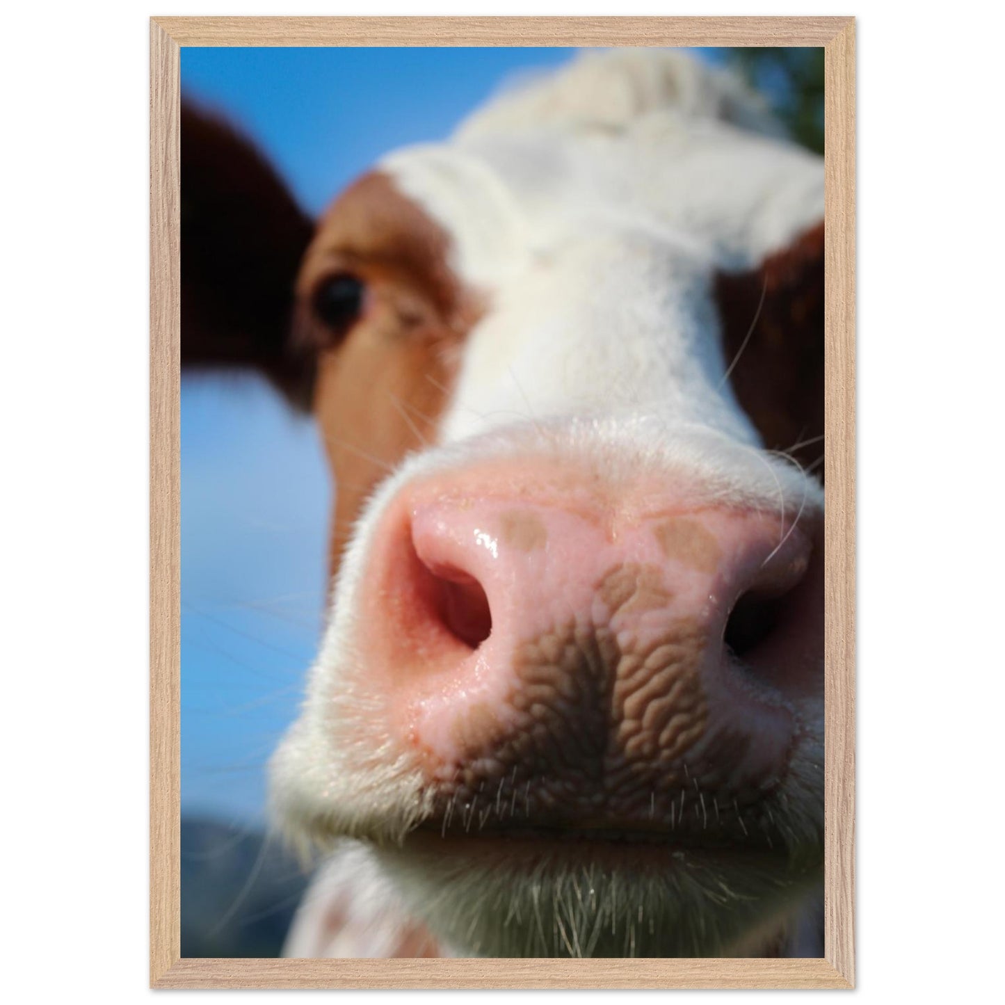 1aba630f-8184-4171-907d-75a449dd2ce2