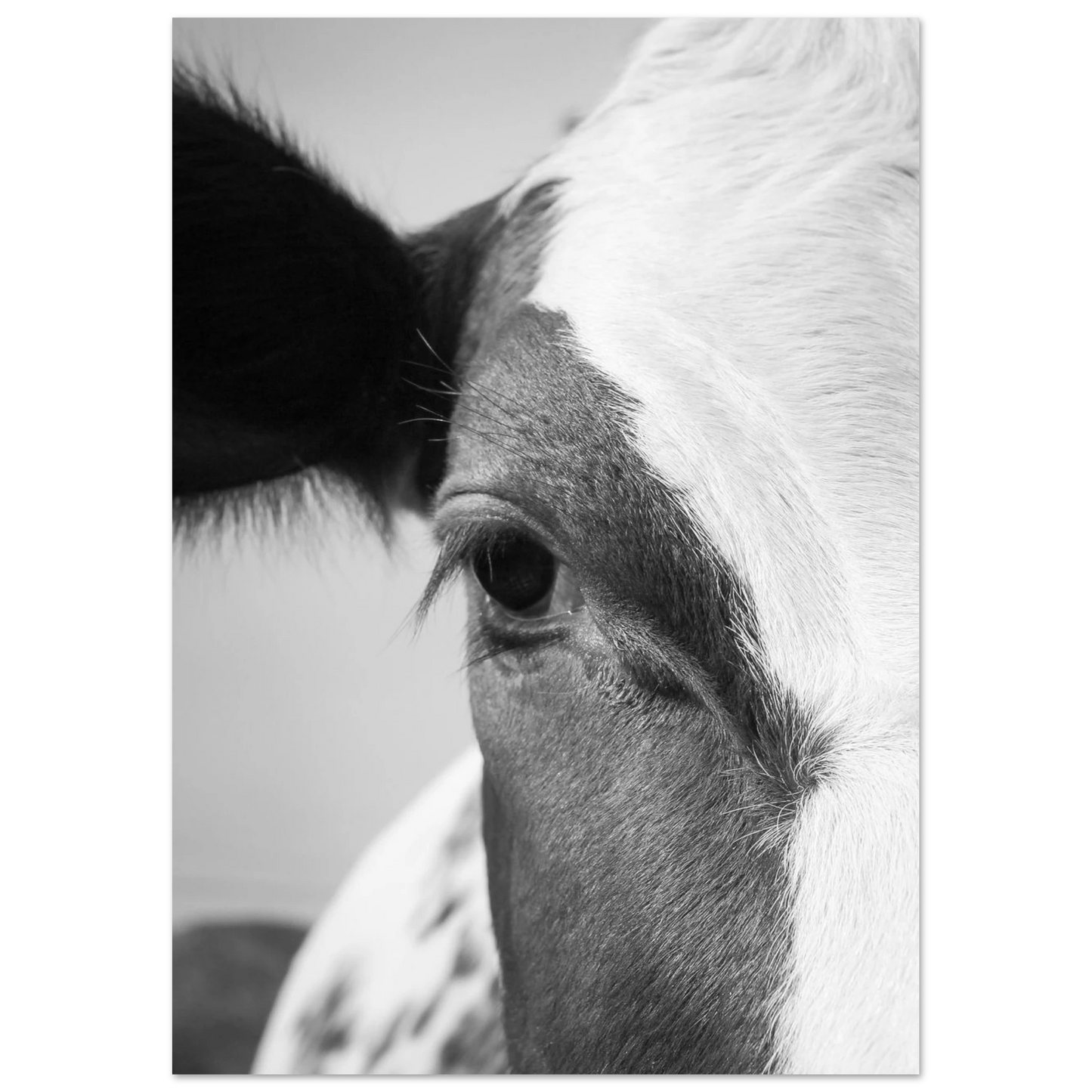 1c69baab-b39a-48a2-8d80-312086473233