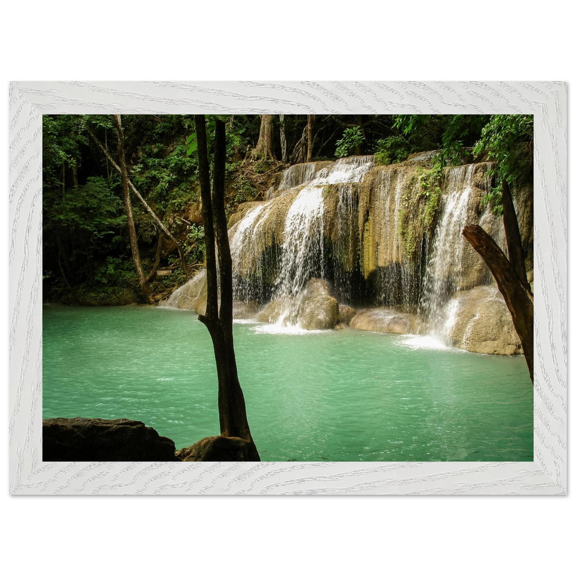 236e5b1f-ee1f-4f98-a9a1-1fbcbd855cf8