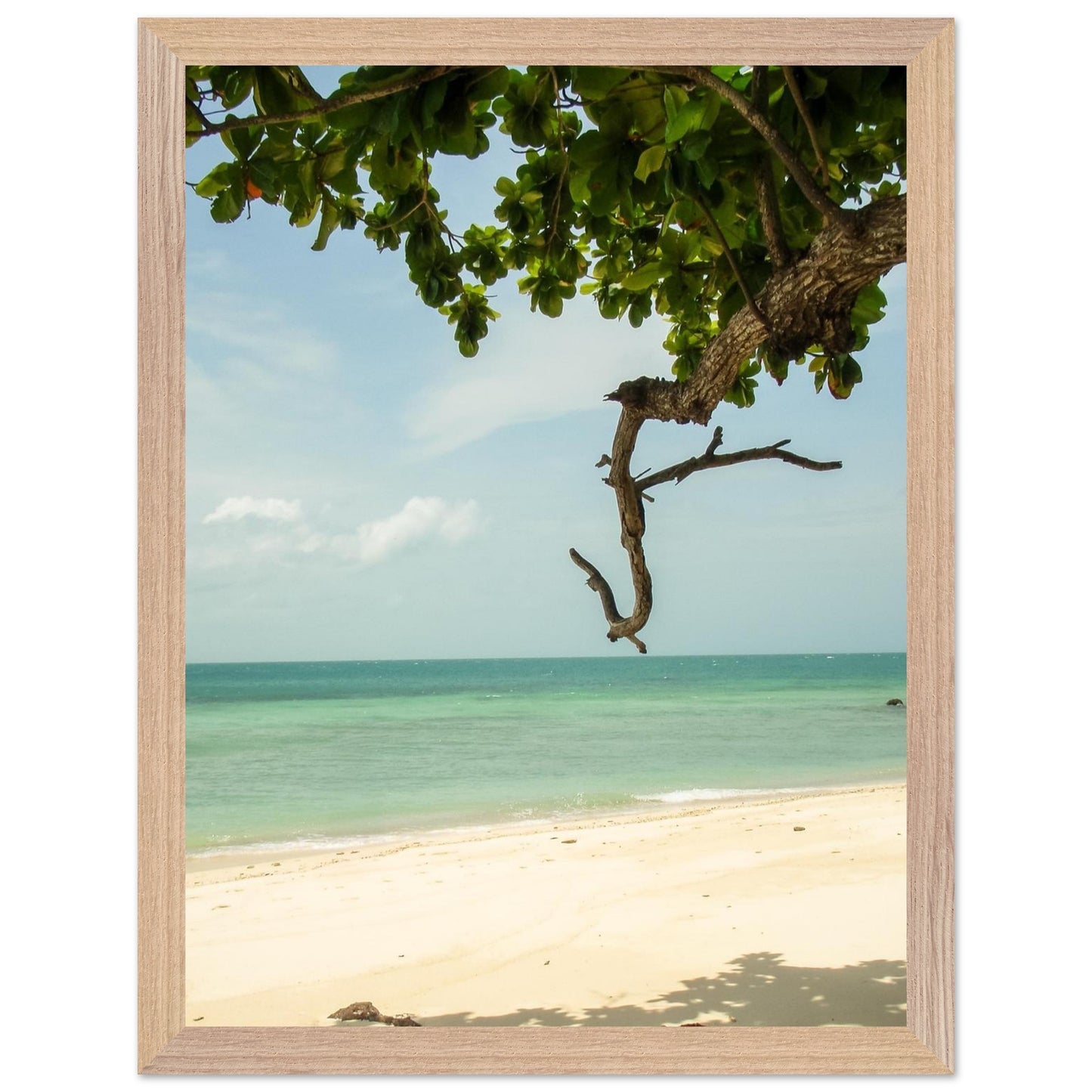 Strandliv // PAKKEPRIS - spar 598 NOK