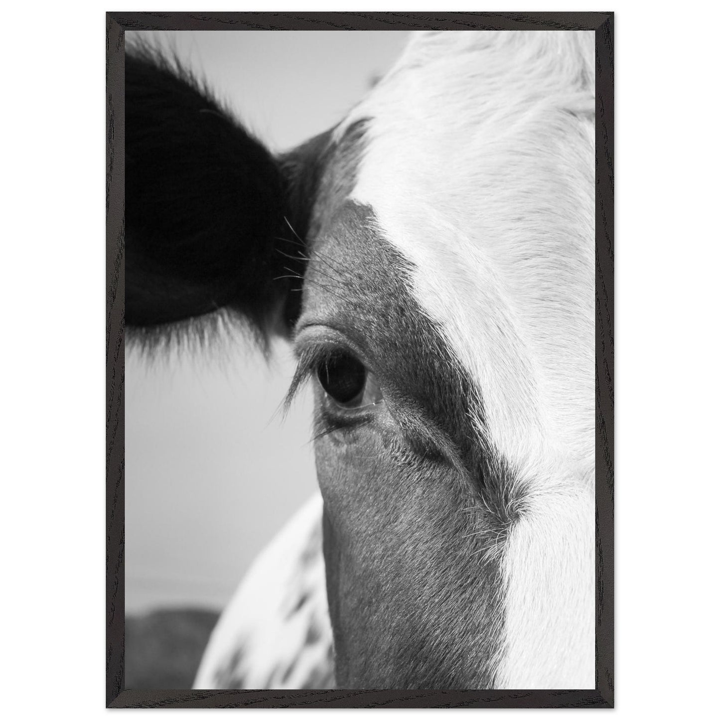 28be50b0-47f6-4957-97dd-11b38e2bcaa0