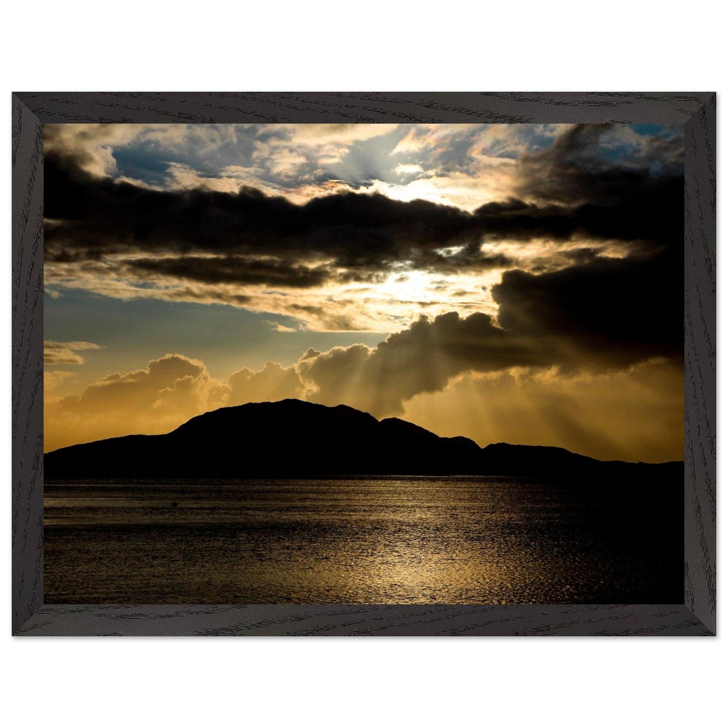 2a210a1b-fe52-4967-9886-ae340af893ce