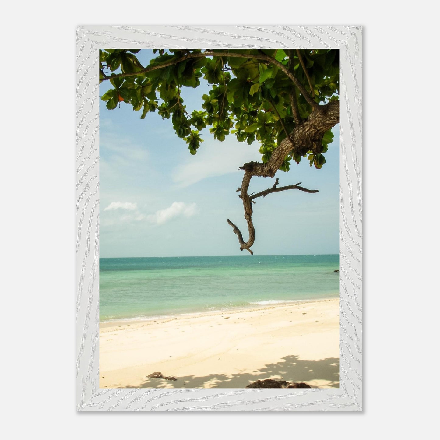 2cb19480-e568-4f06-b9a7-cdd0f8ebf035