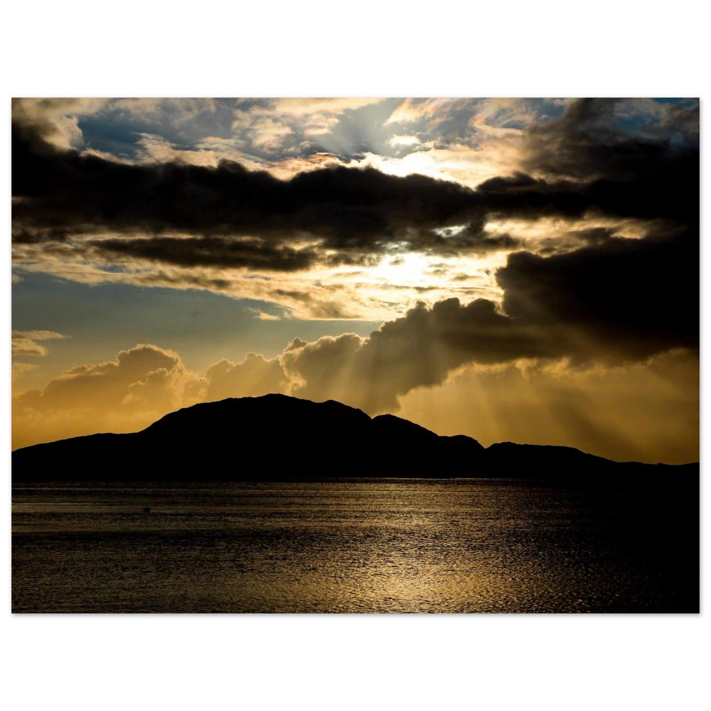 2d5c490b-bb61-4f33-914c-f01be378615b