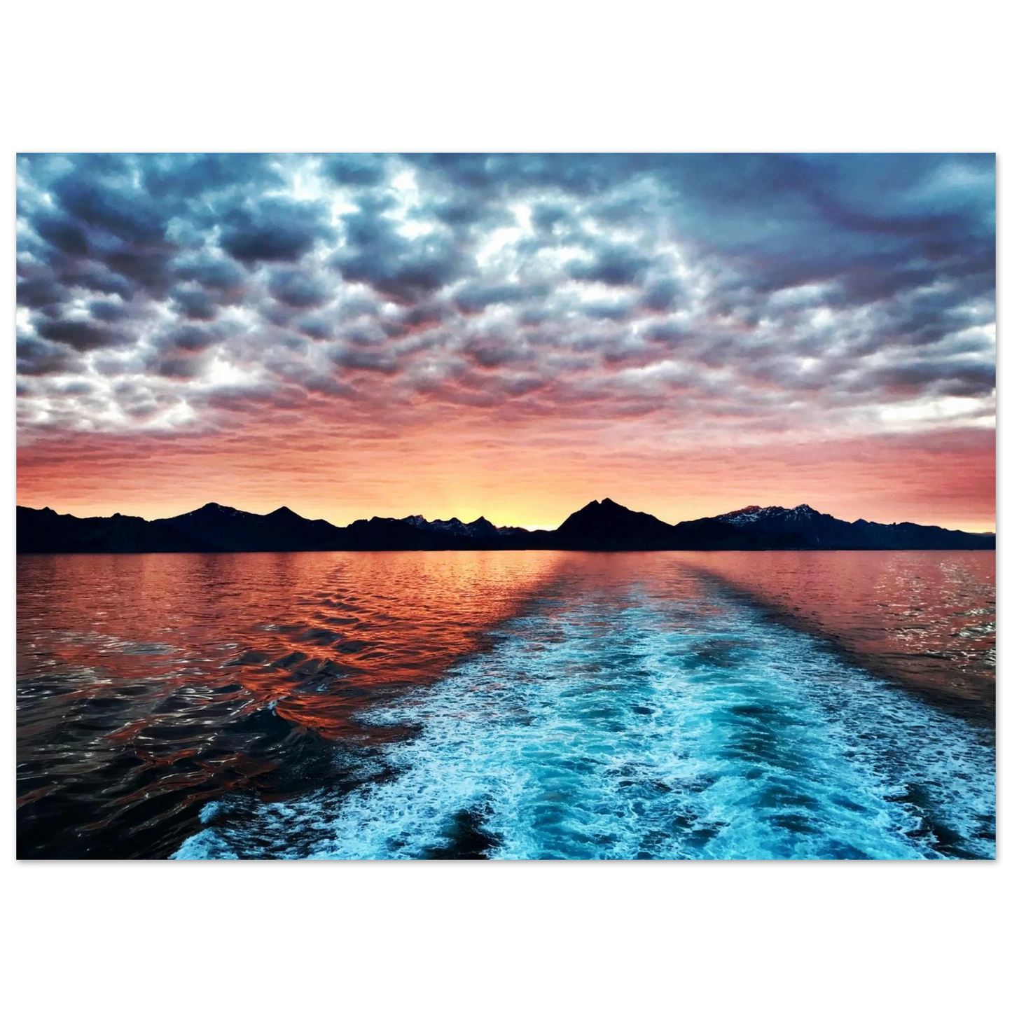 3374d88a-74af-491d-989c-1674b49e52d5