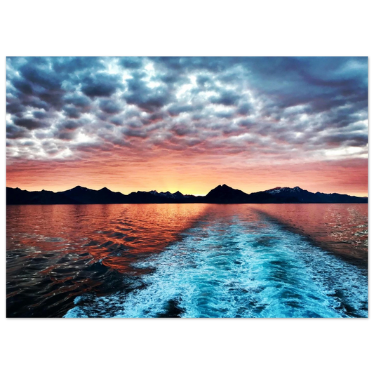 3374d88a-74af-491d-989c-1674b49e52d5