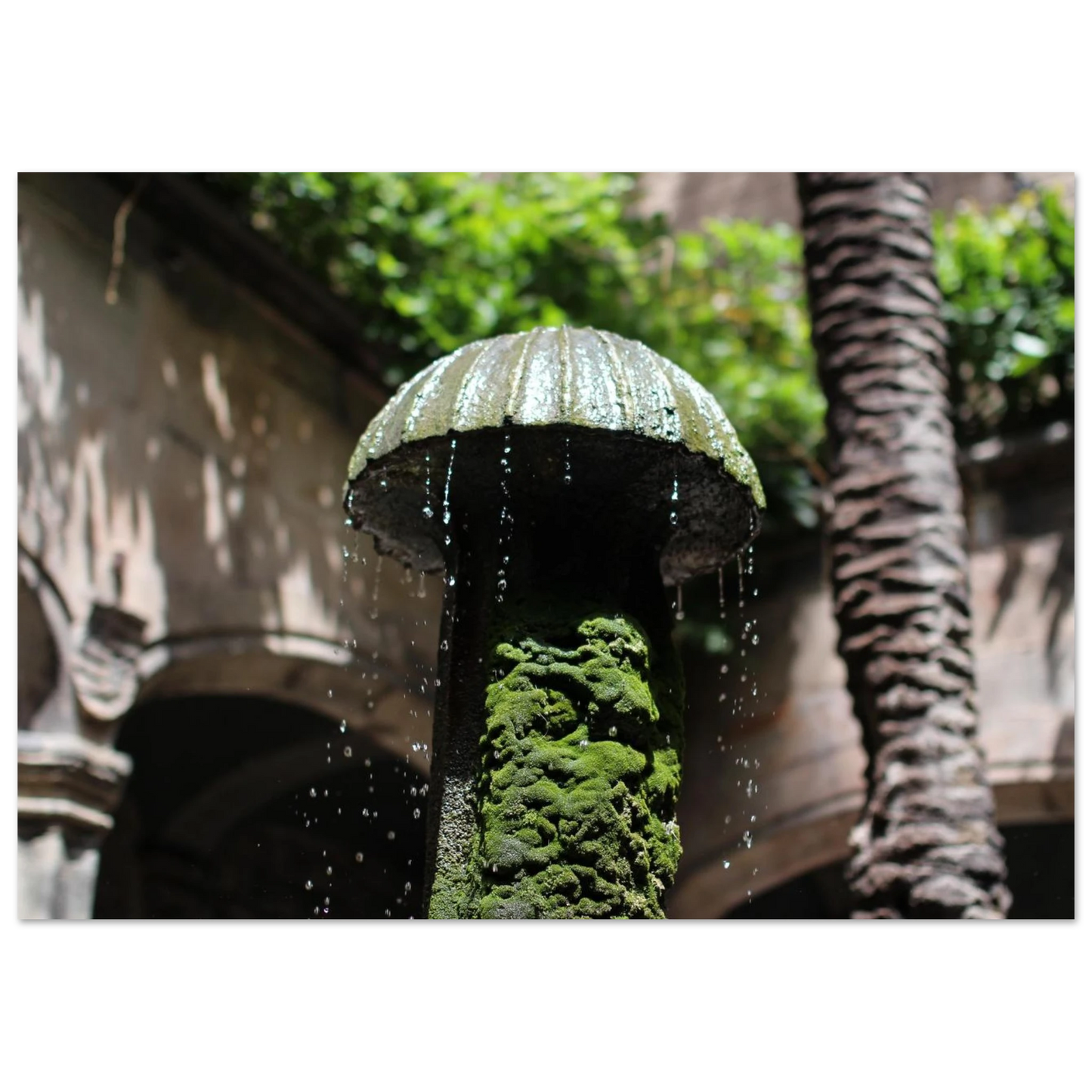 337a23a6-ac31-4576-85b7-c3da75114646