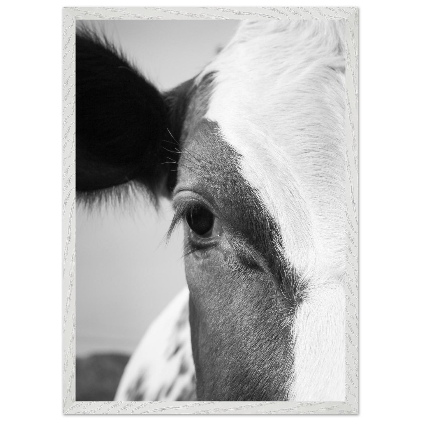 3397ff6a-649c-4ab1-a038-80b6de550d73