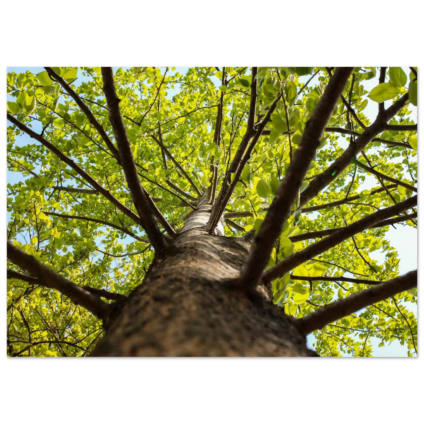 33ece3f5-1320-4e03-81eb-5fa8231feb3c