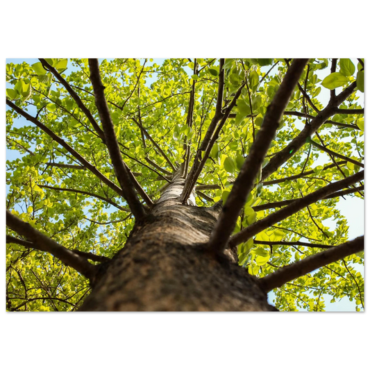 33ece3f5-1320-4e03-81eb-5fa8231feb3c