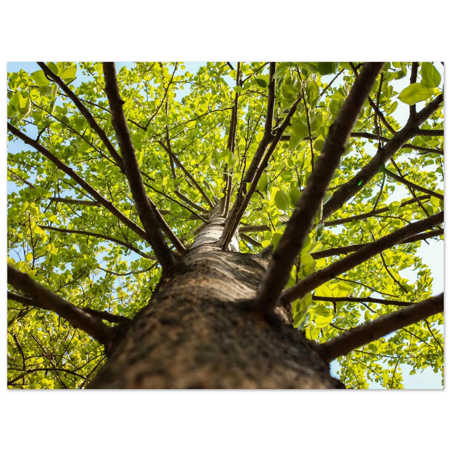 373204cc-c700-481d-80ea-66d60718265b