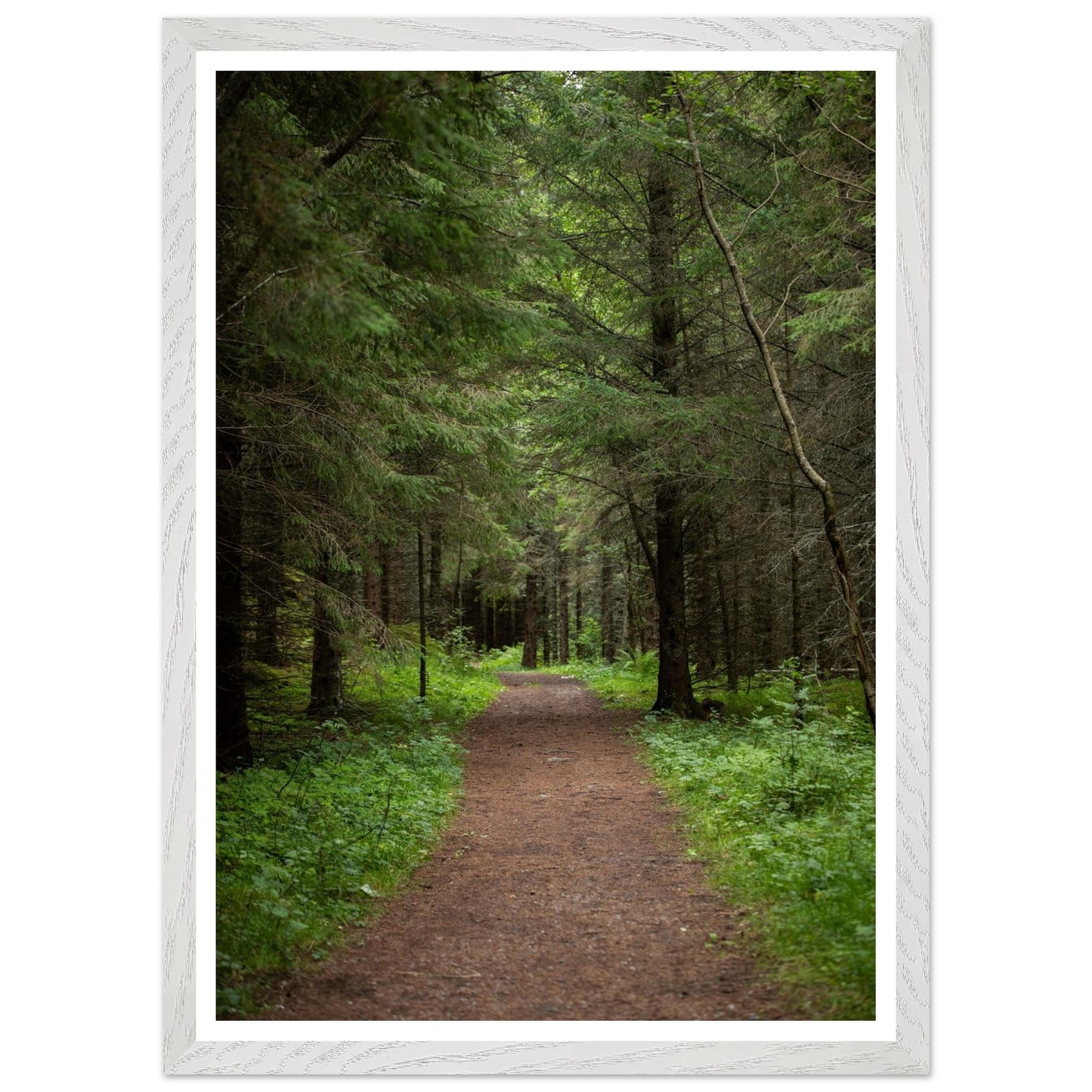 3cb72eb0-6c2c-4048-9005-42530c9e0c8c