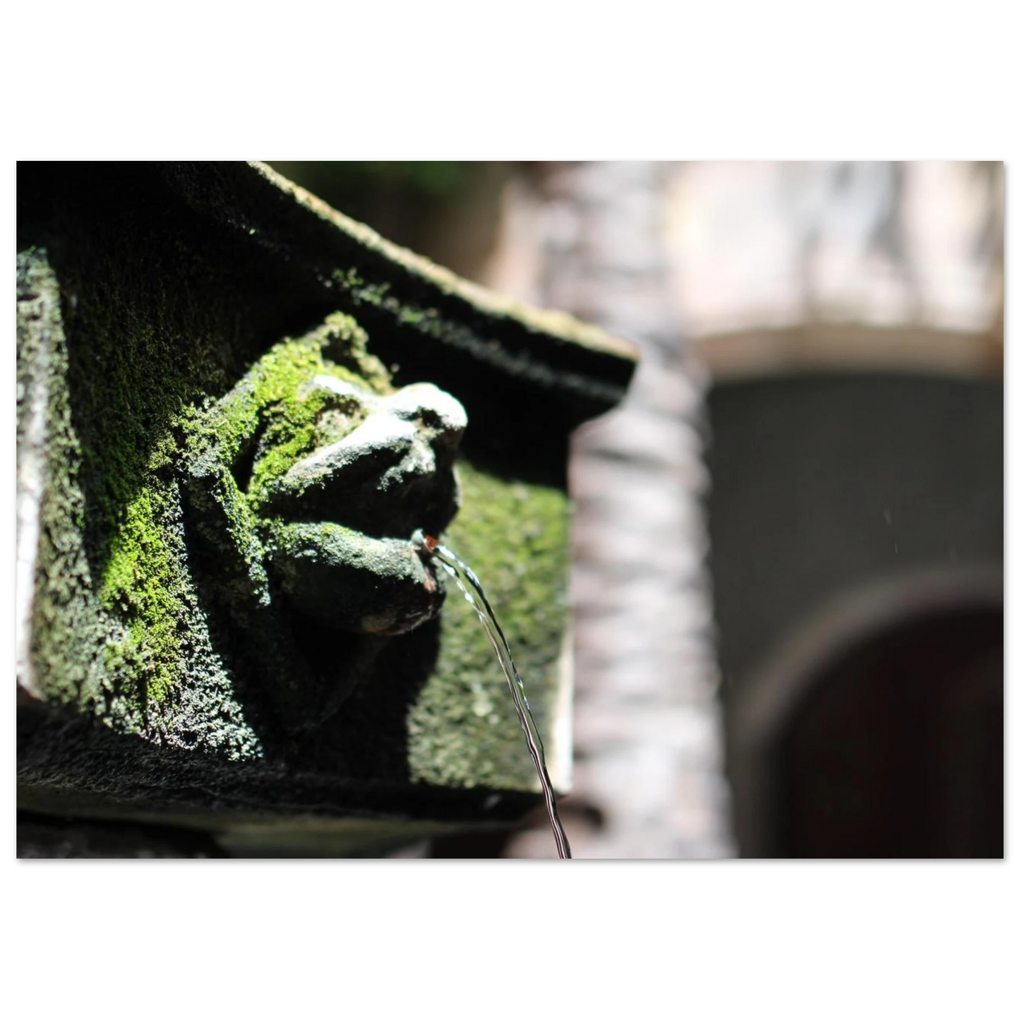 3e065c46-9c9f-4167-b4e7-70860a3c0083